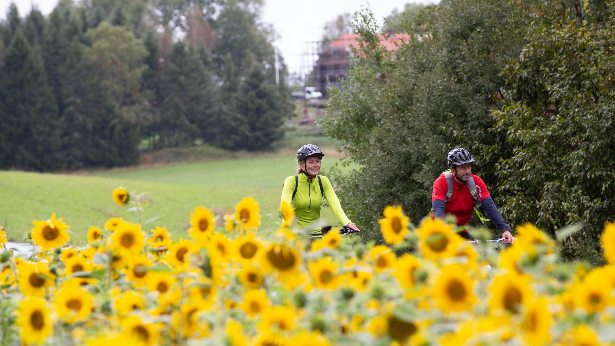 Couple cycling on Unionsleden