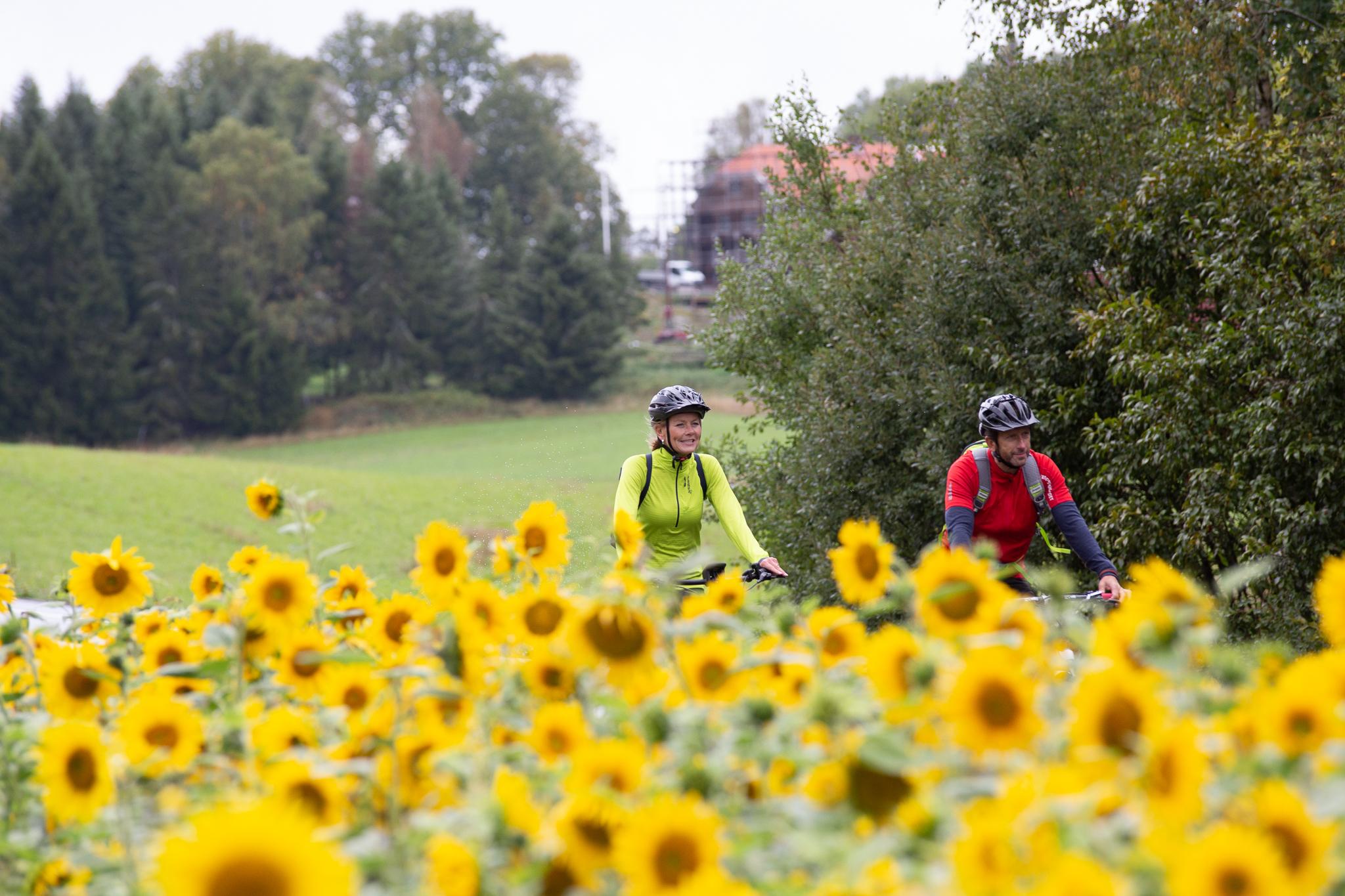 Couple cycling on Unionsleden
