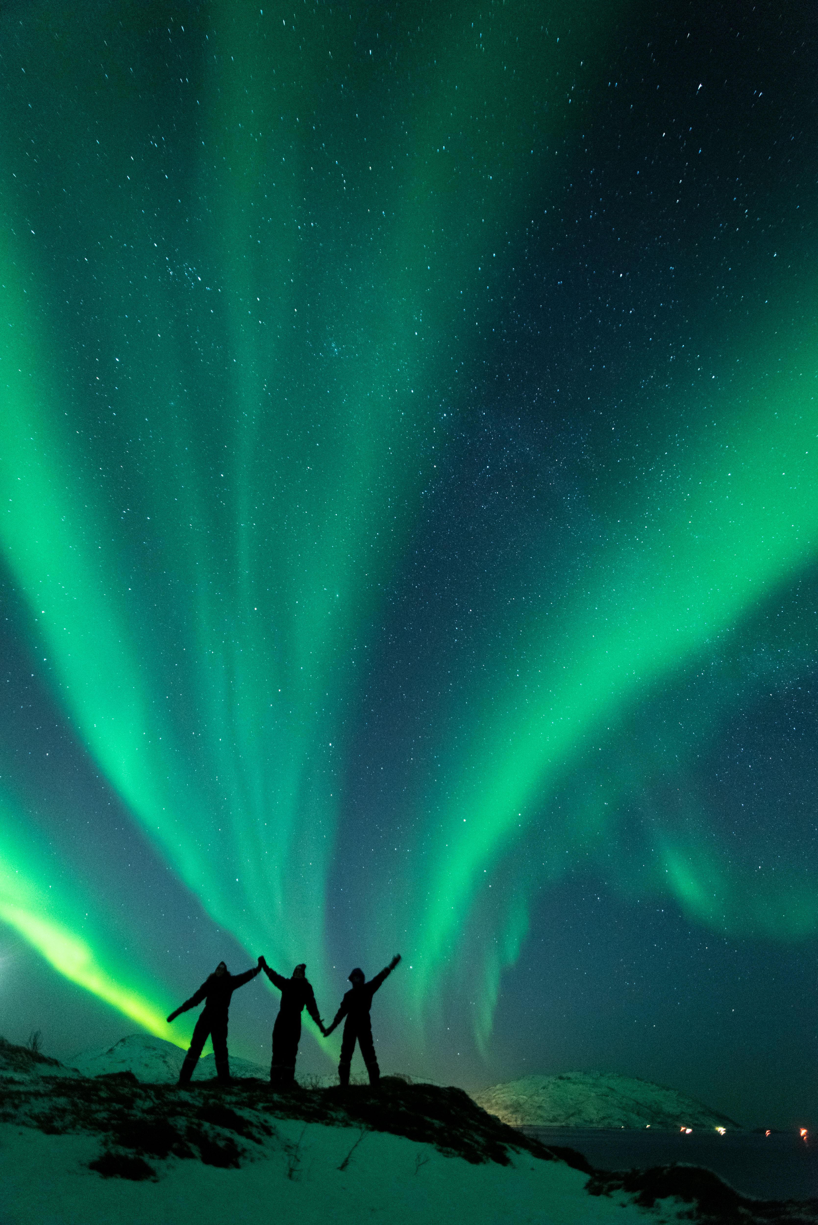 Tree people standing under the northern lights
