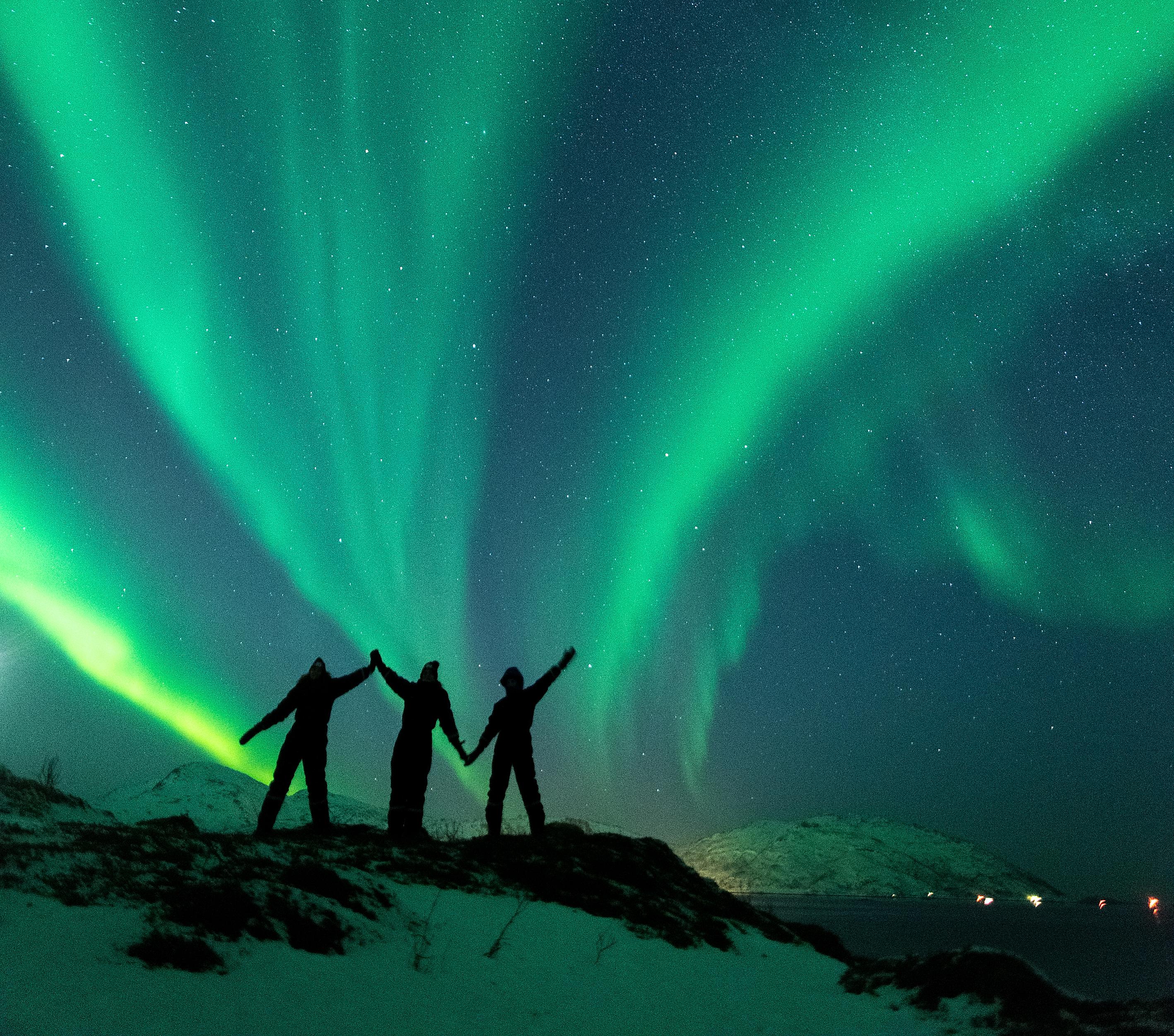Tree people standing under the northern lights