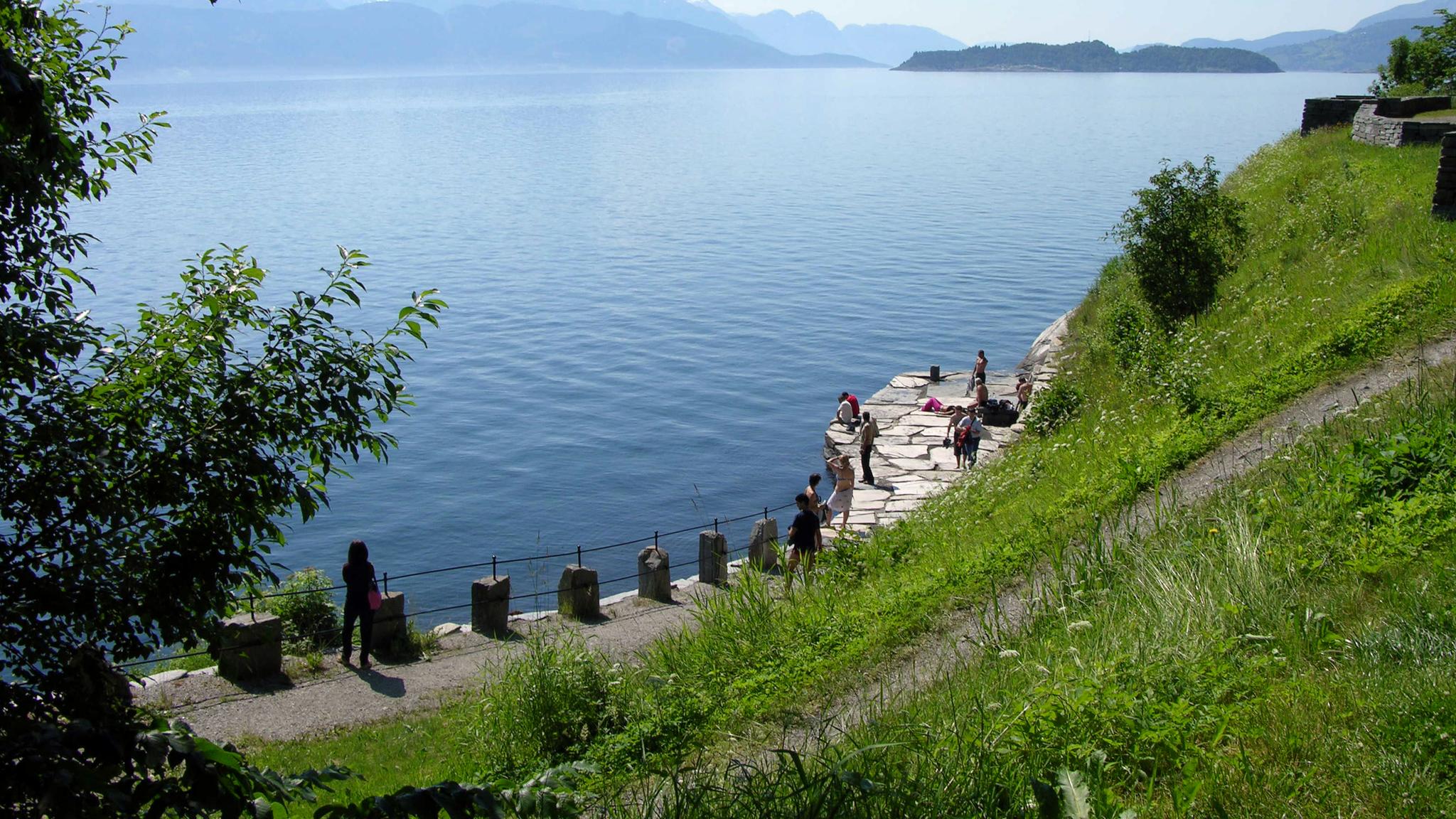 People enjoying a rock plattform by a fjord