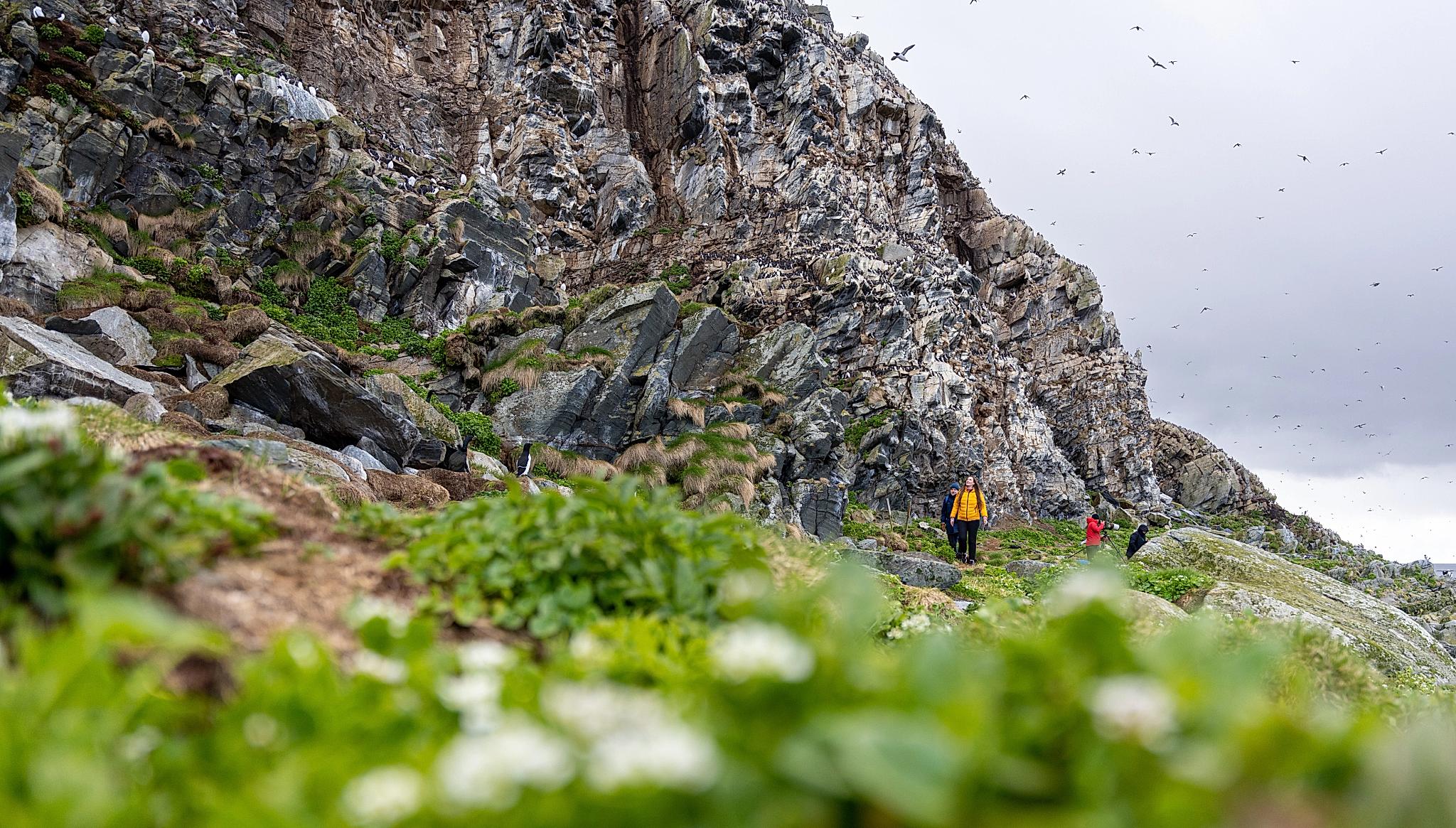 Tourists look at birds at Hornøya birdwatching site outside of Vardø in Varanger, Norway.