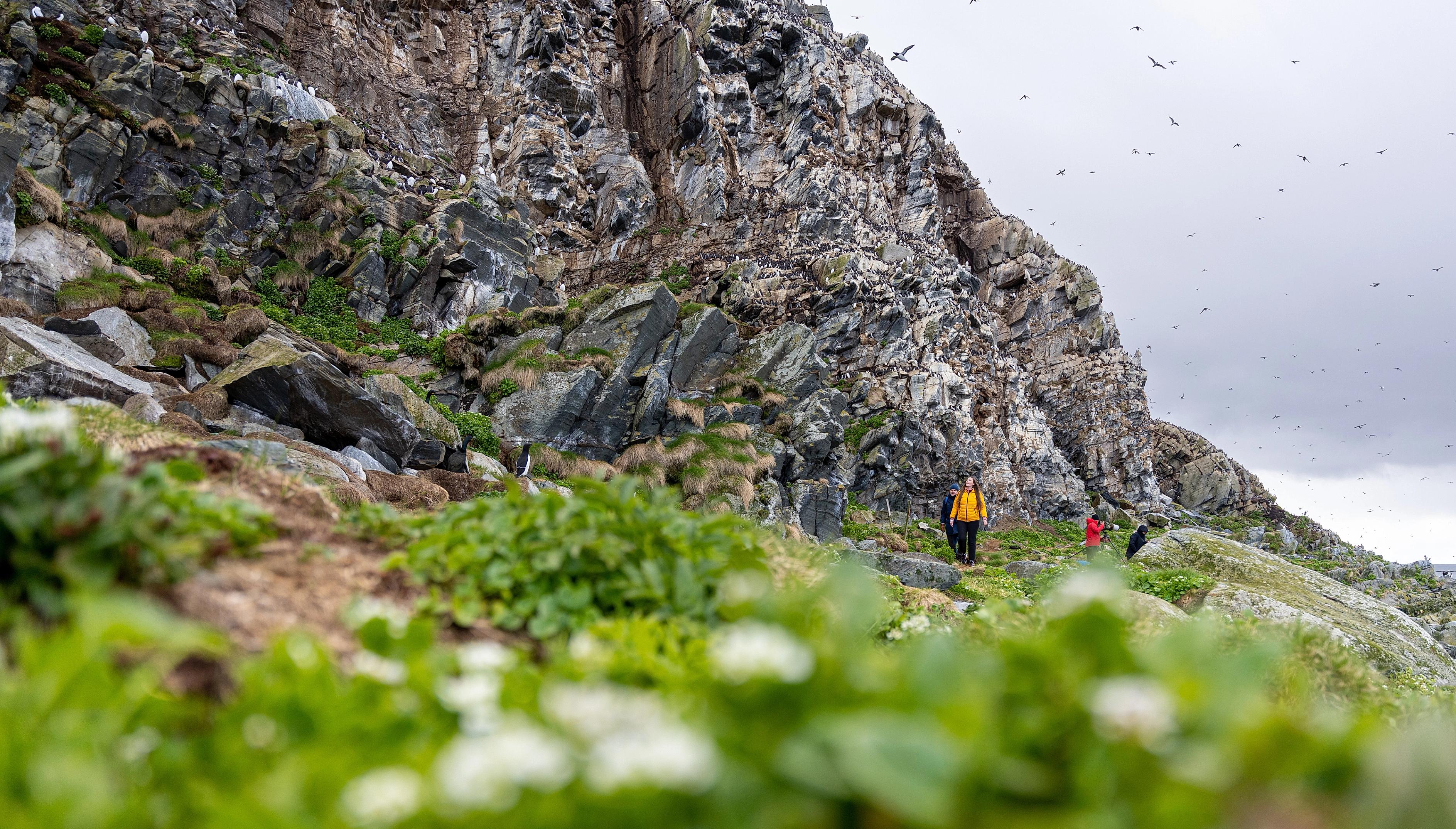 Tourists look at birds at Hornøya birdwatching site outside of Vardø in Varanger, Norway.
