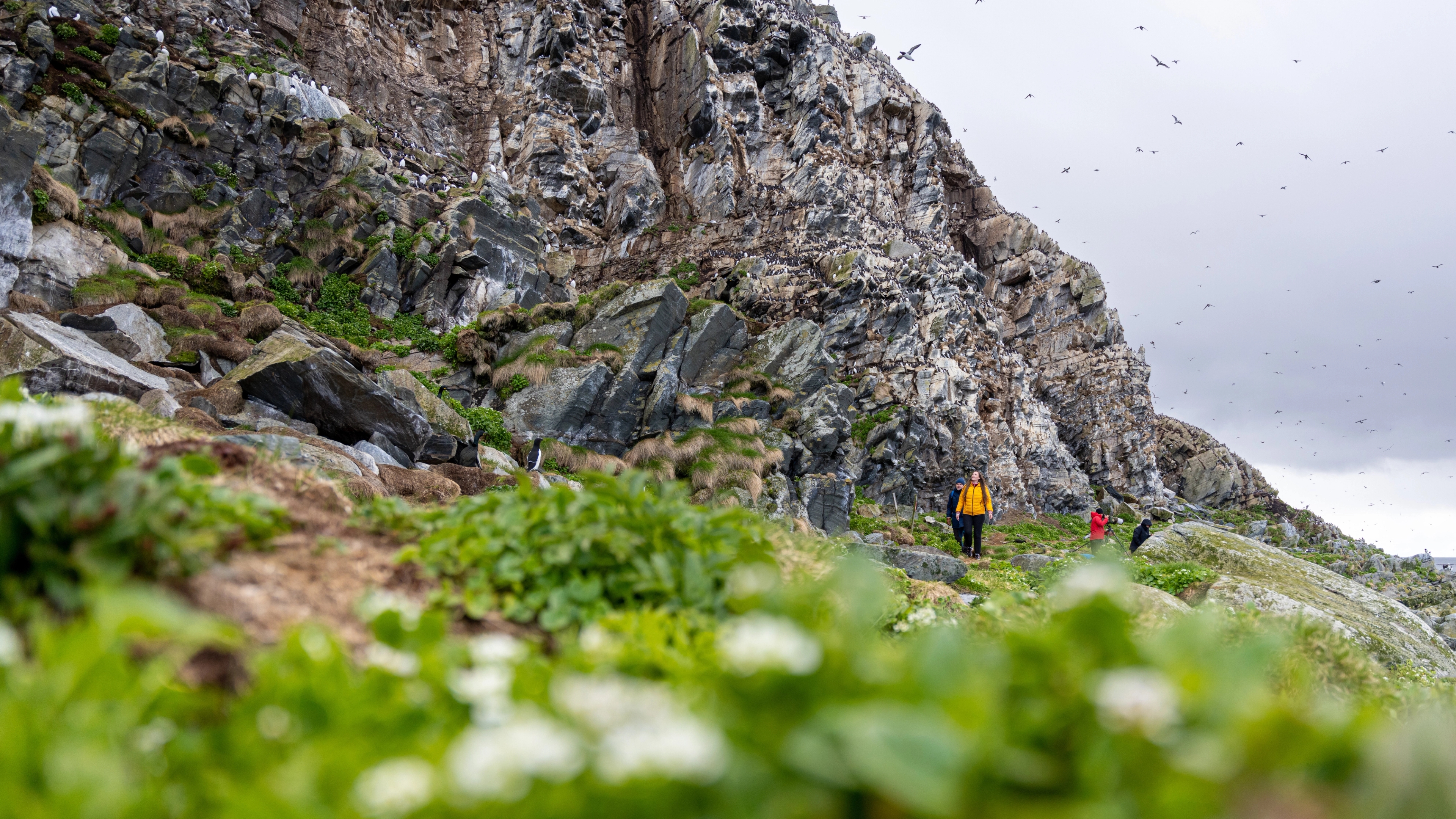 Tourists look at birds at Hornøya birdwatching site outside of Vardø in Varanger, Norway.