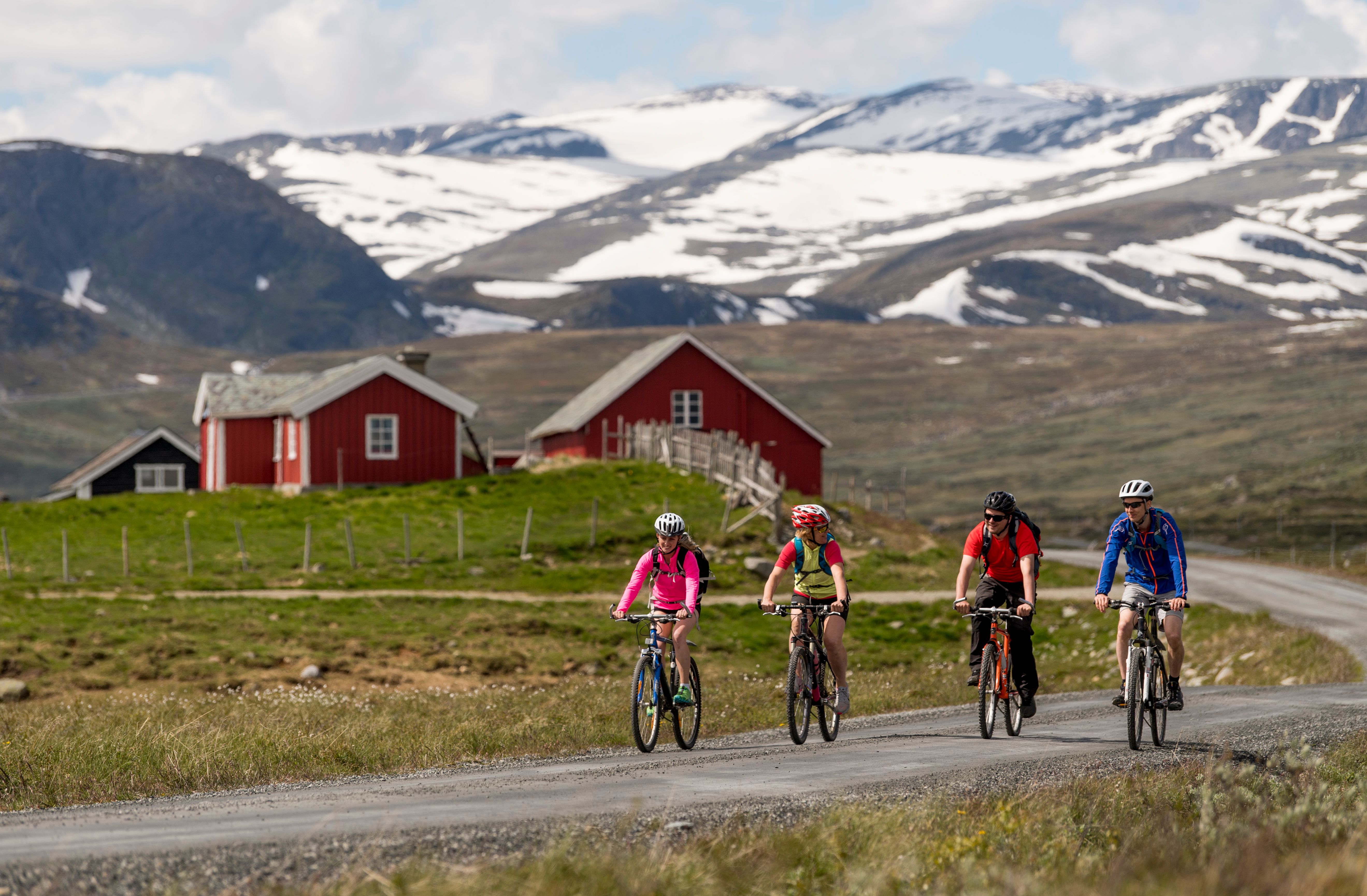 A family tour cycling on Mjølkevegen from Valdres to Gol, Eastern Norway