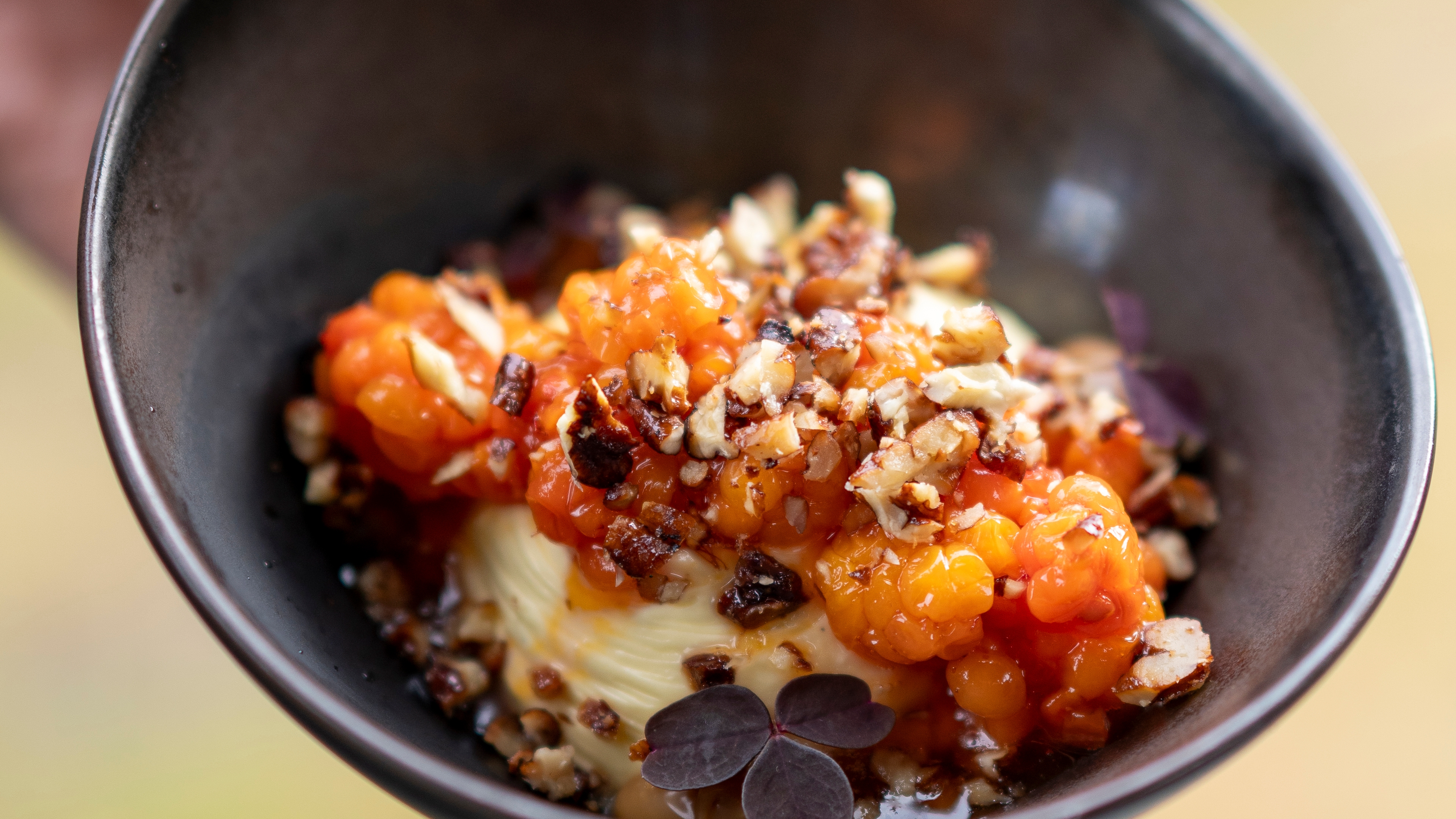 A cloudberry dessert at Sorrisniva in Alta