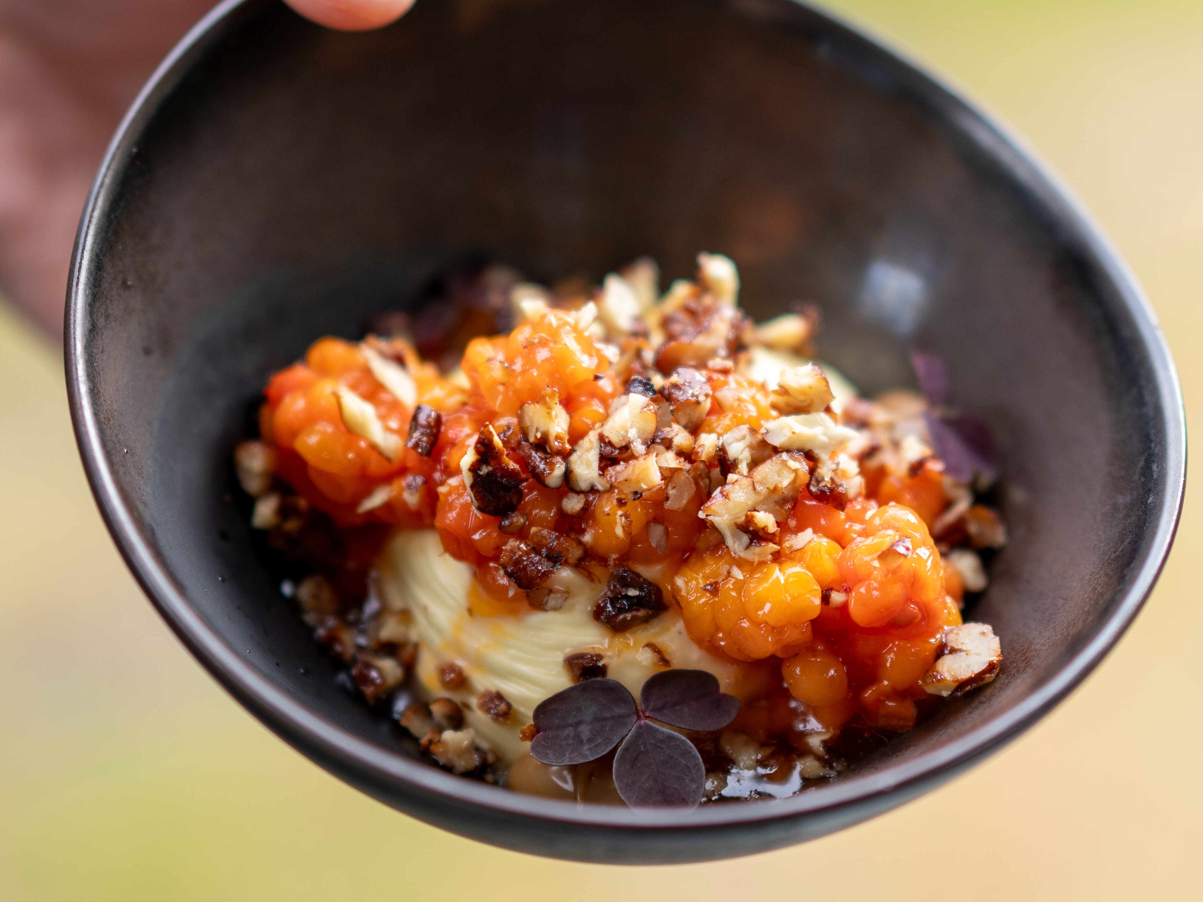 A cloudberry dessert at Sorrisniva in Alta