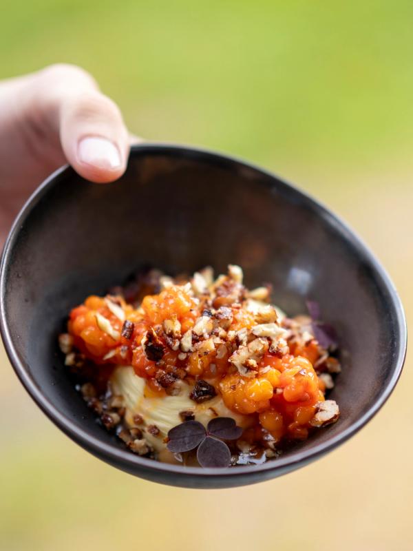 A cloudberry dessert at Sorrisniva in Alta