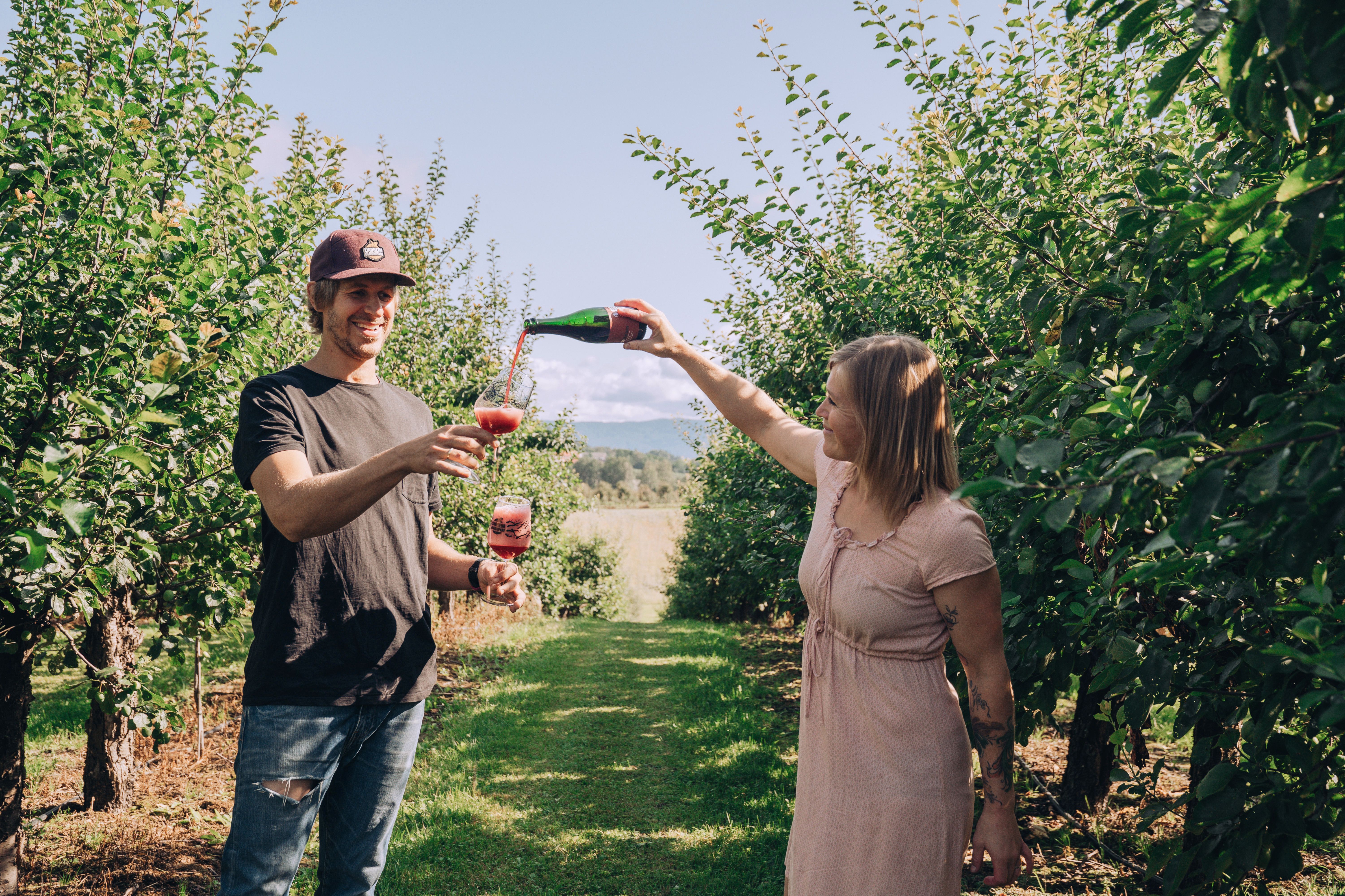 Folk som provsmakar öl på Lindheim frukt och mikrobryggeri i Gvarv i Telemark, Østlandet
