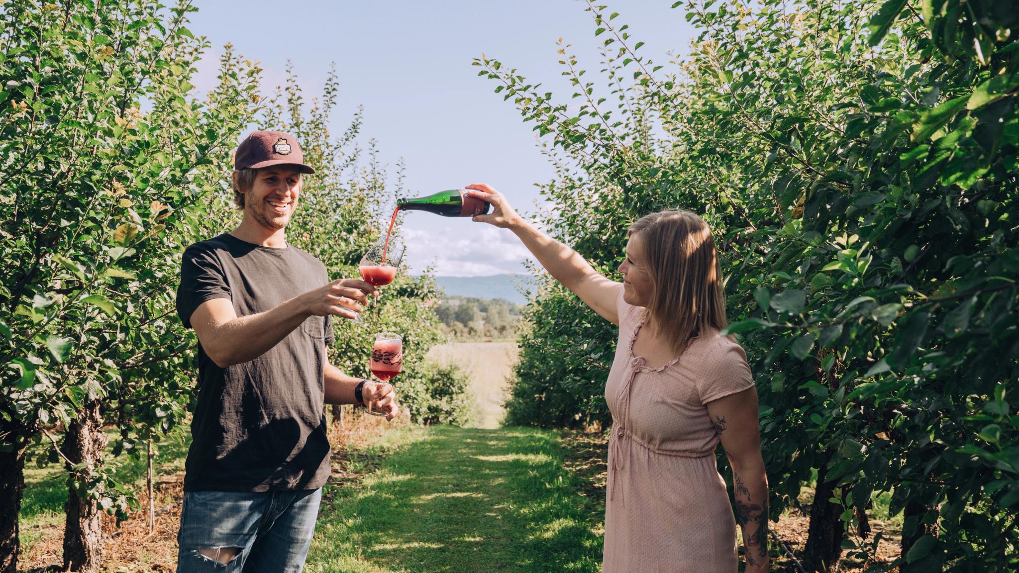 Folk som provsmakar öl på Lindheim frukt och mikrobryggeri i Gvarv i Telemark, Østlandet