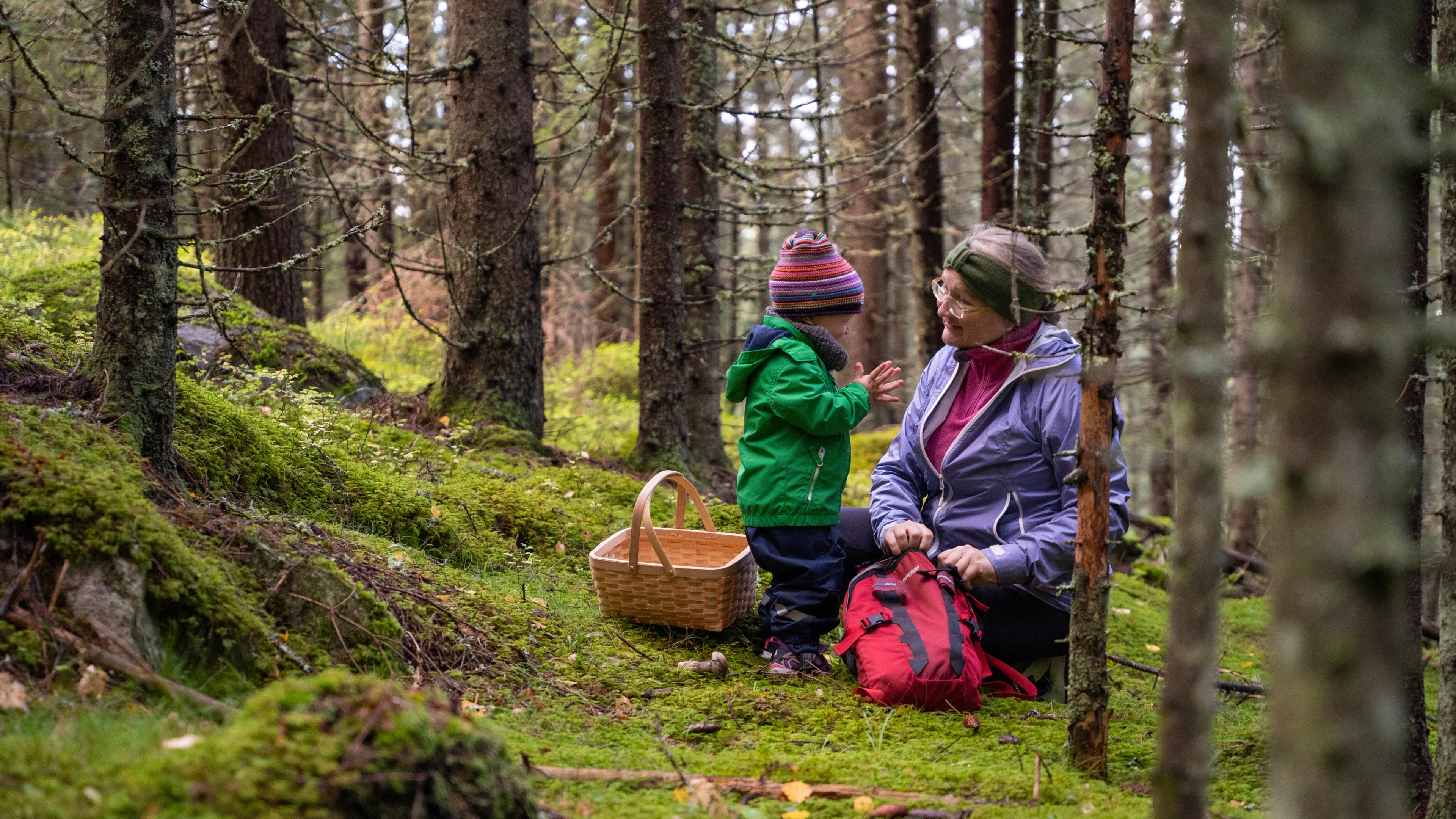 Grandmother and grandson looking for mushroom in the wood, Eastern Norway