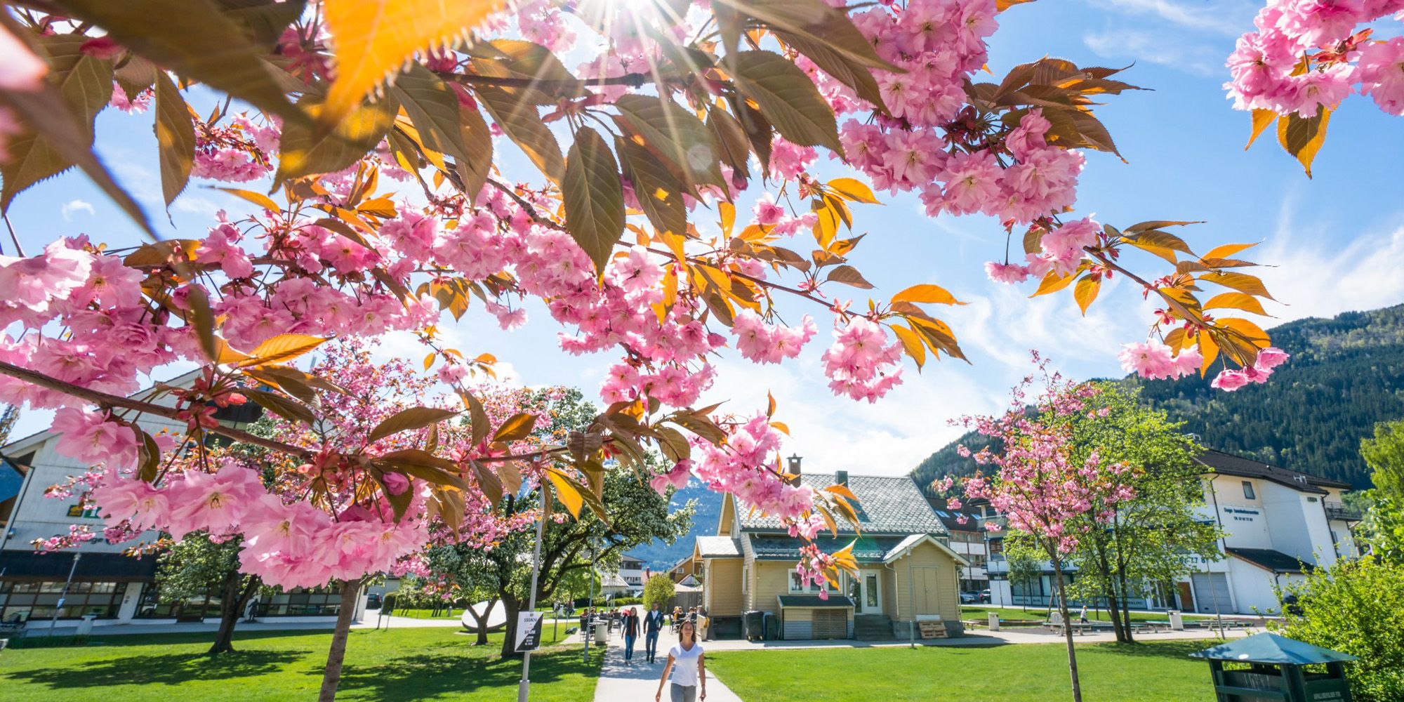 Spring in Sogndal in Vestland County, Norway