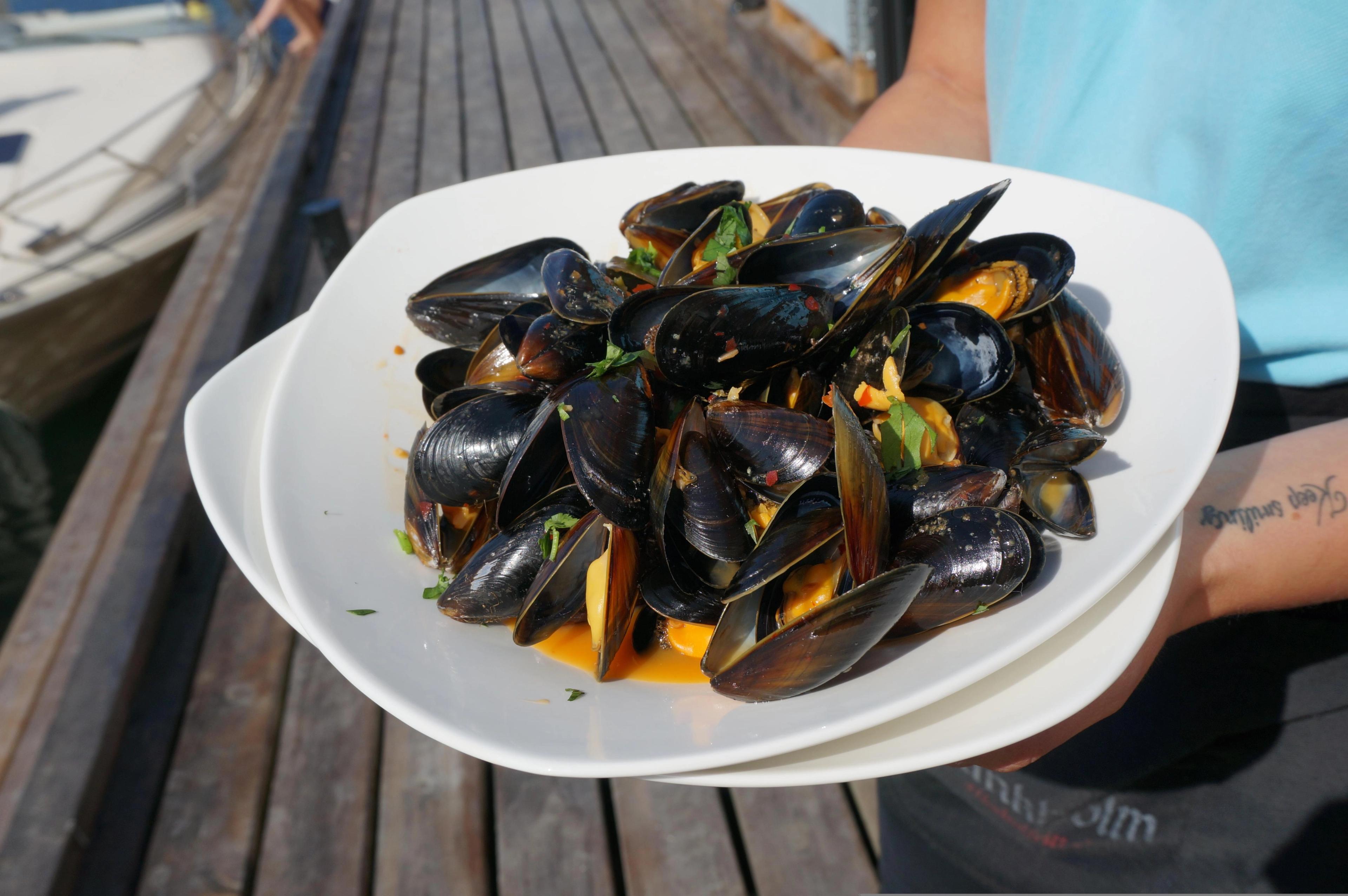 A delicate plate of mussels in Eastern Norway