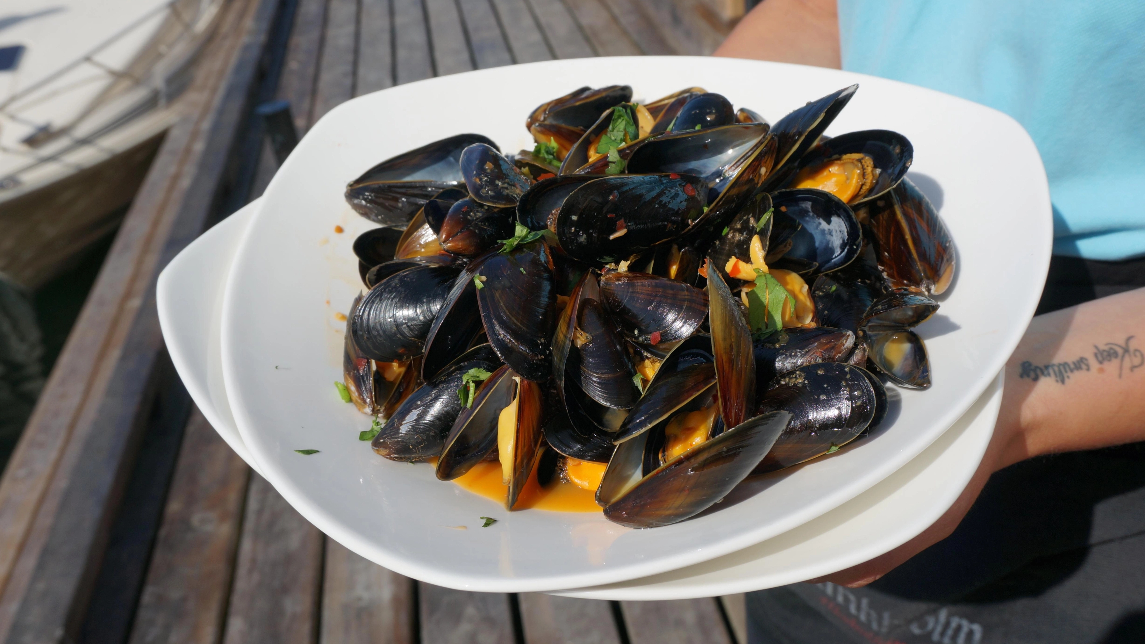 A delicate plate of mussels in Eastern Norway
