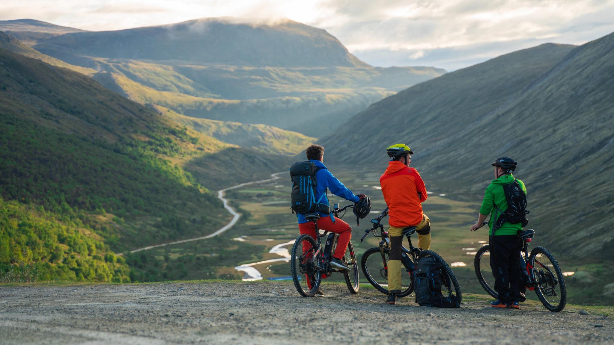 Three people on bikes looking at a valley below