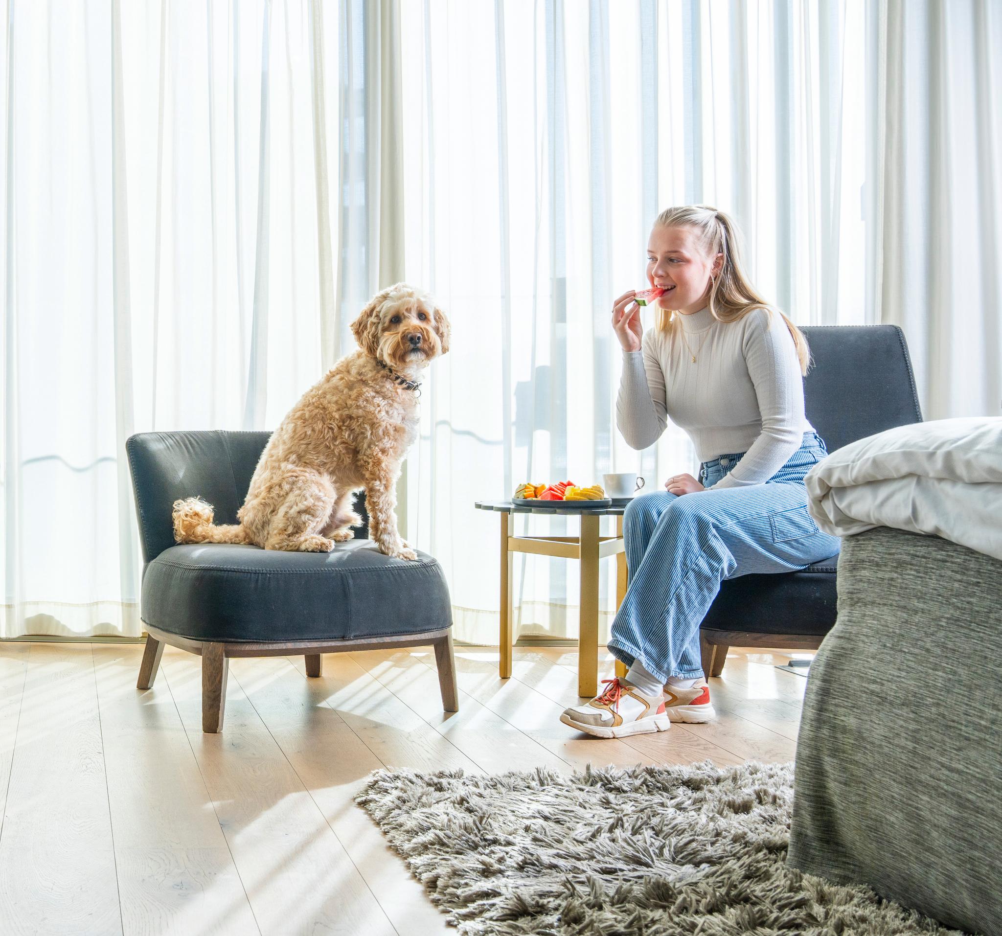 Dog room at The Thief in Oslo, Eastern Norway