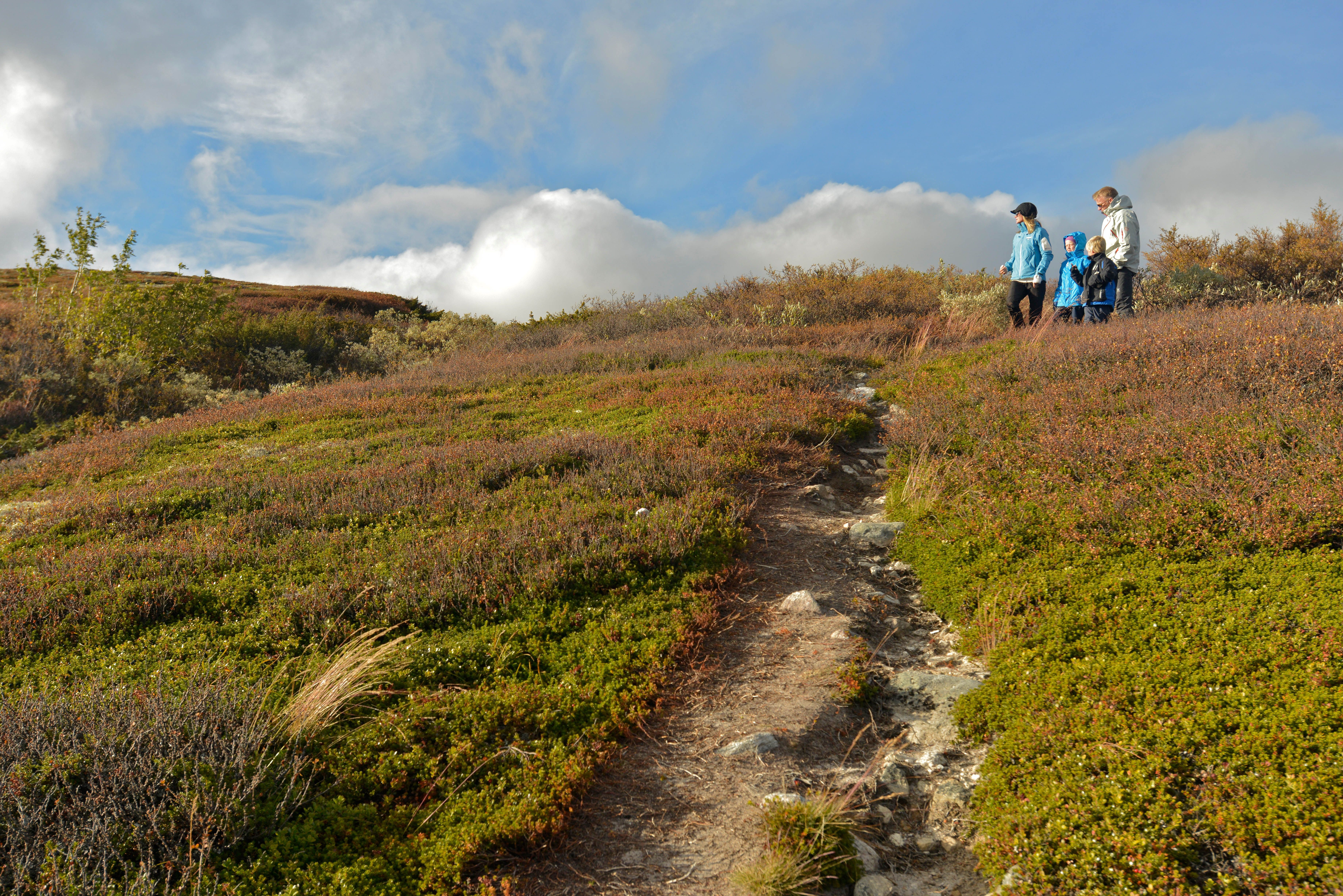 Eine vierköpfige Familie beim Wandern in Rjukan in der Telemark, Ostnorwegen