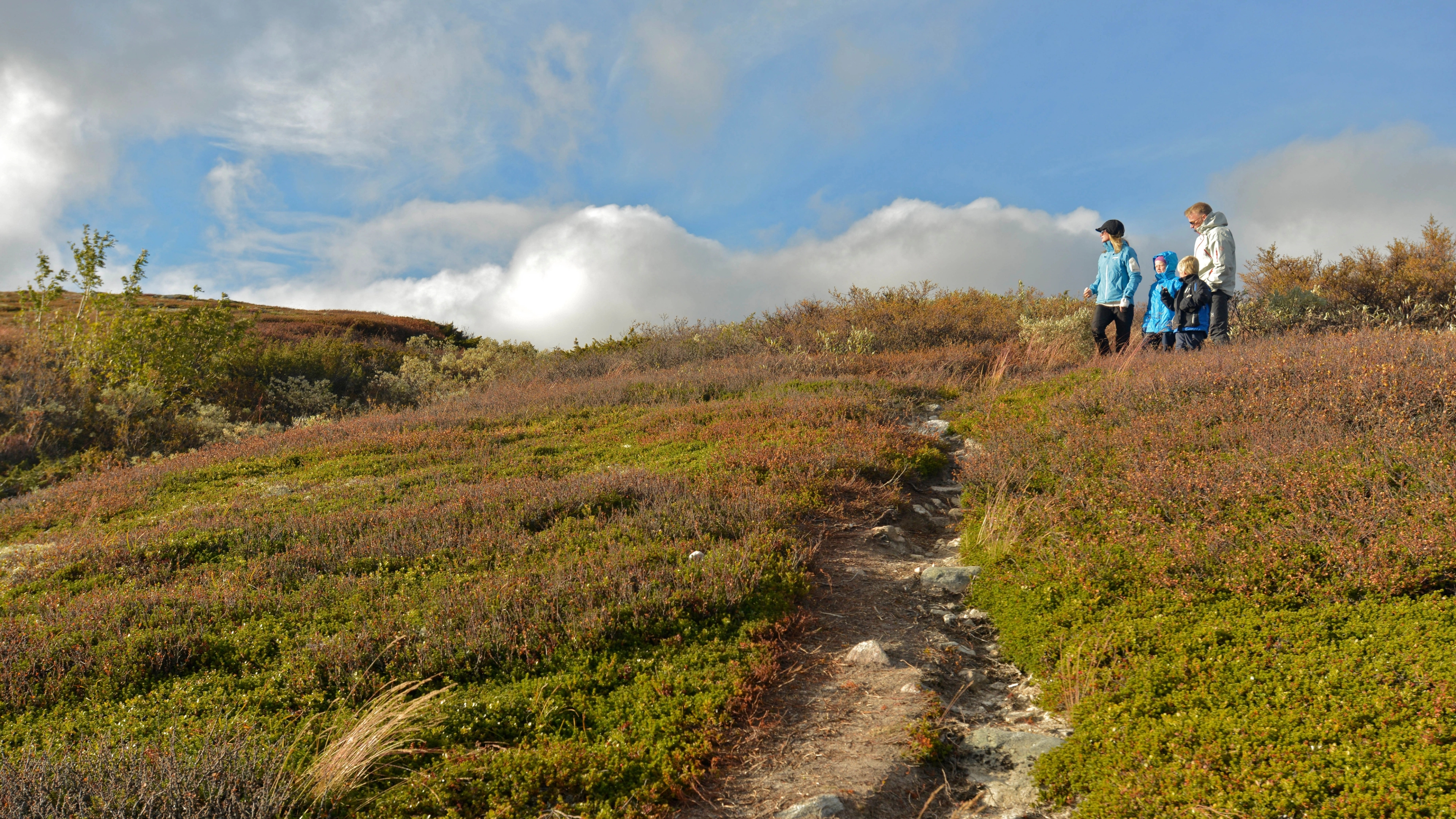 Eine vierköpfige Familie beim Wandern in Rjukan in der Telemark, Ostnorwegen