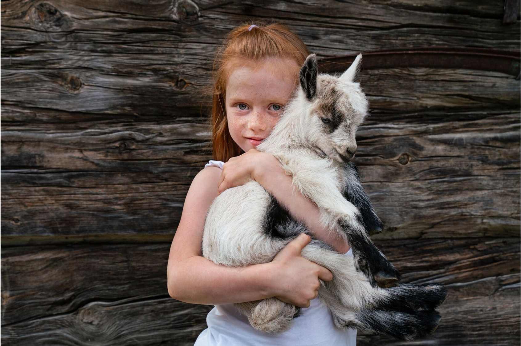 A young girl holding a baby goat