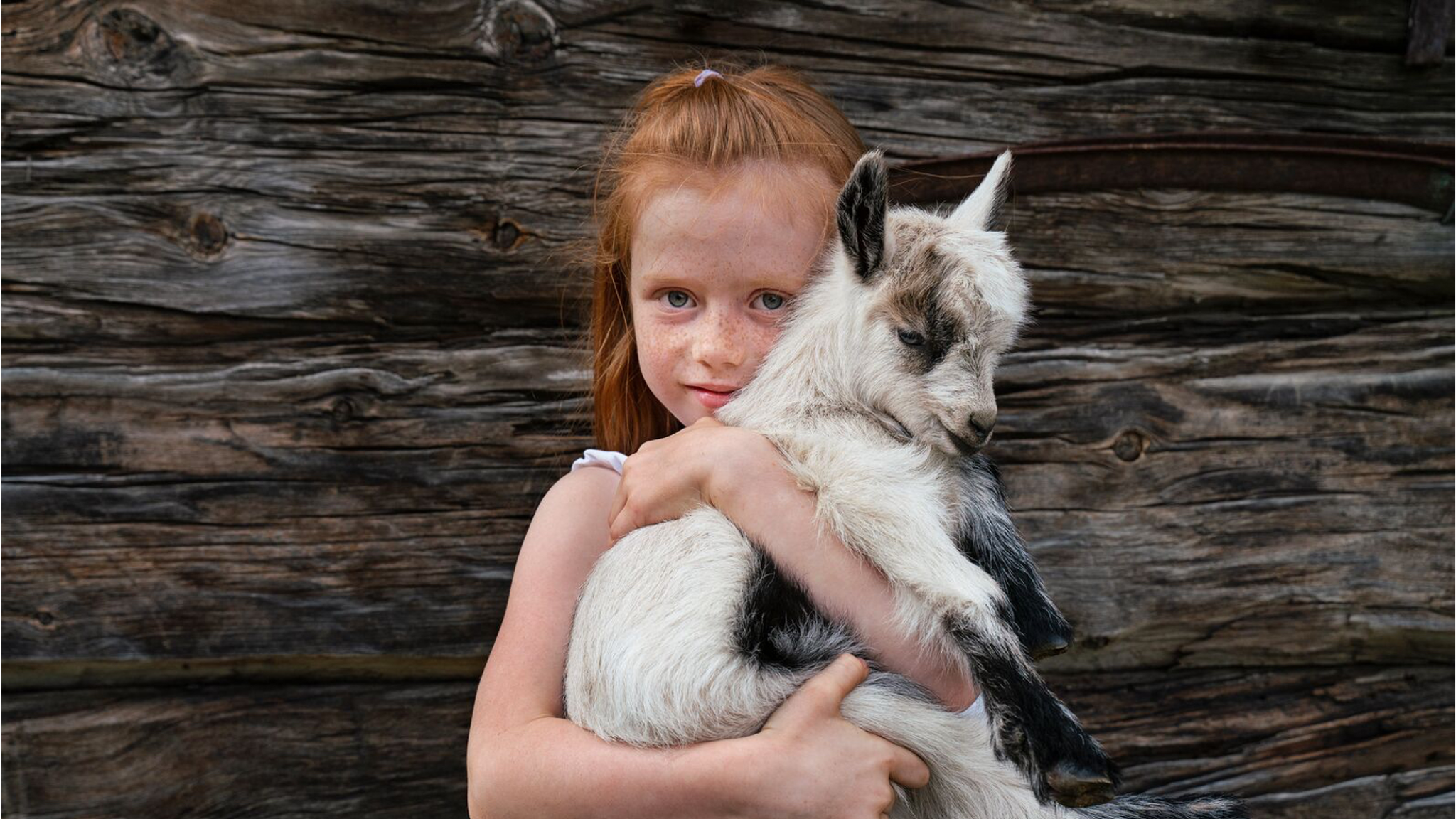 A young girl holding a baby goat