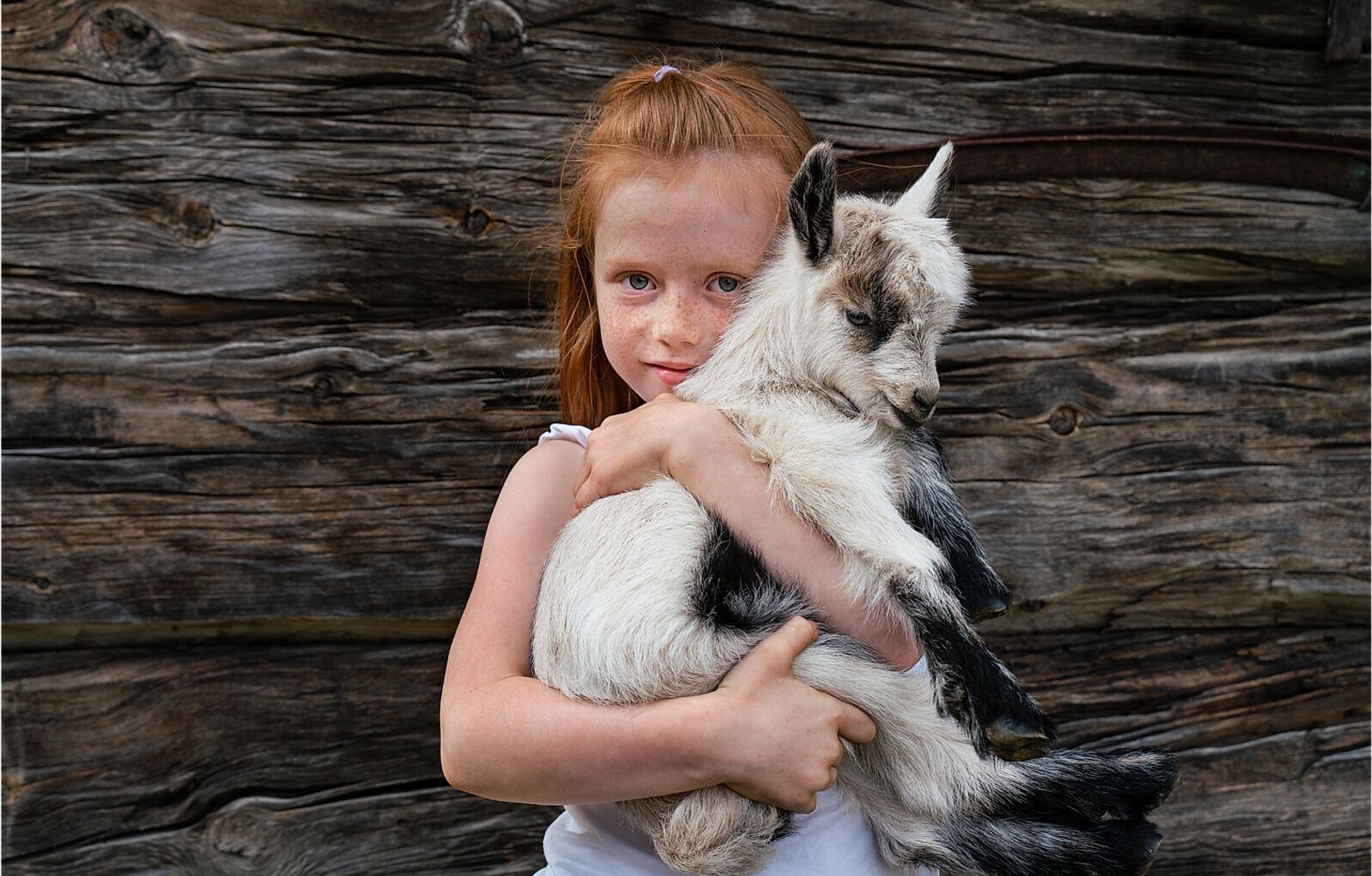 En ung jente holder en geit på en gård i Norge