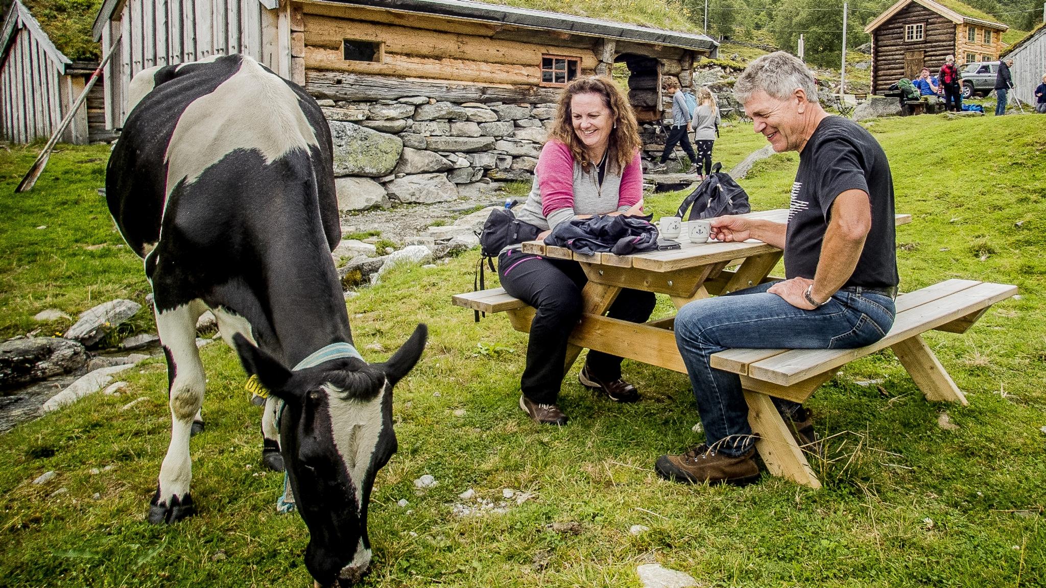 Renndølsetra, Innerdalen