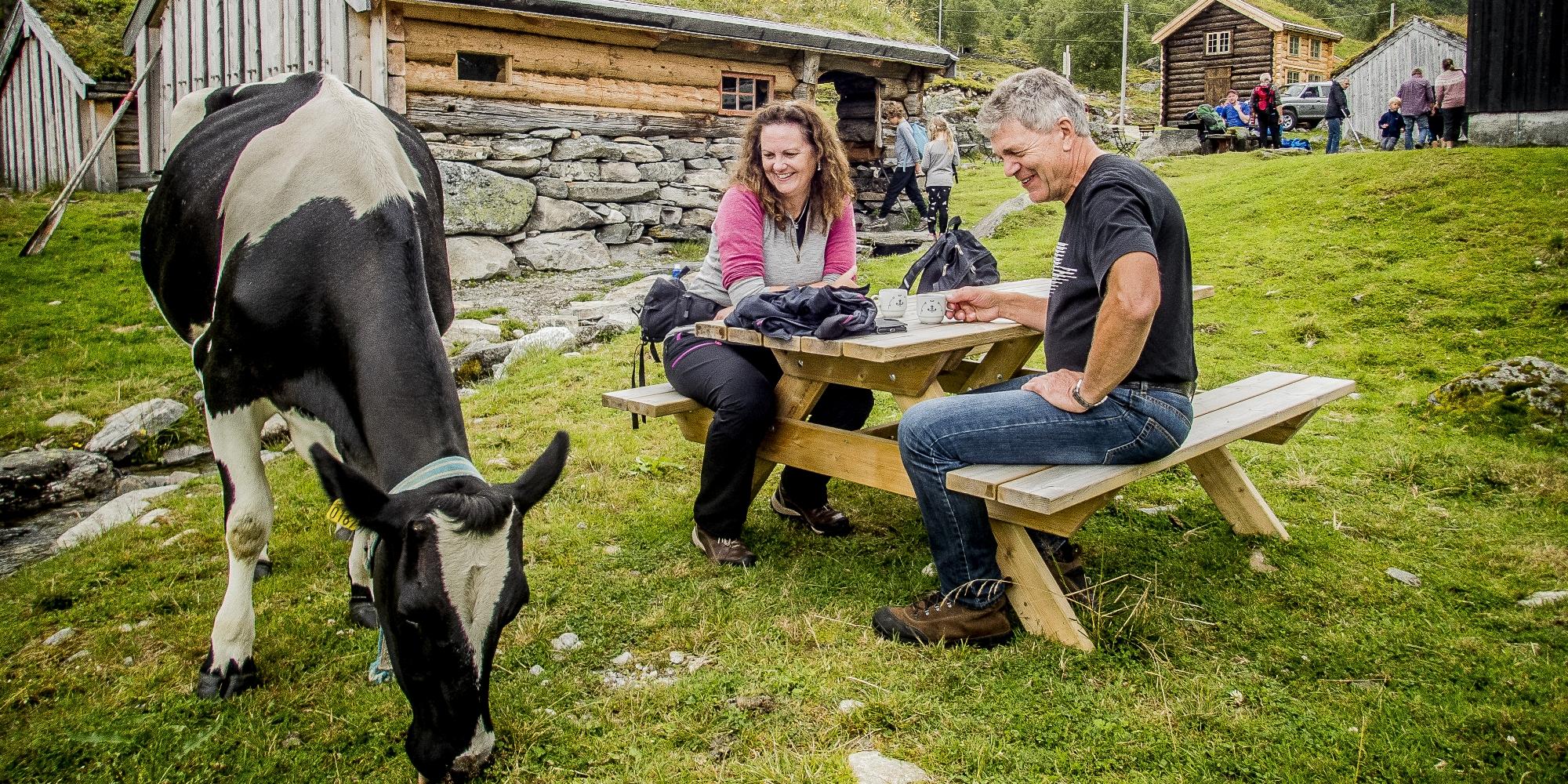 Renndølsetra, Innerdalen