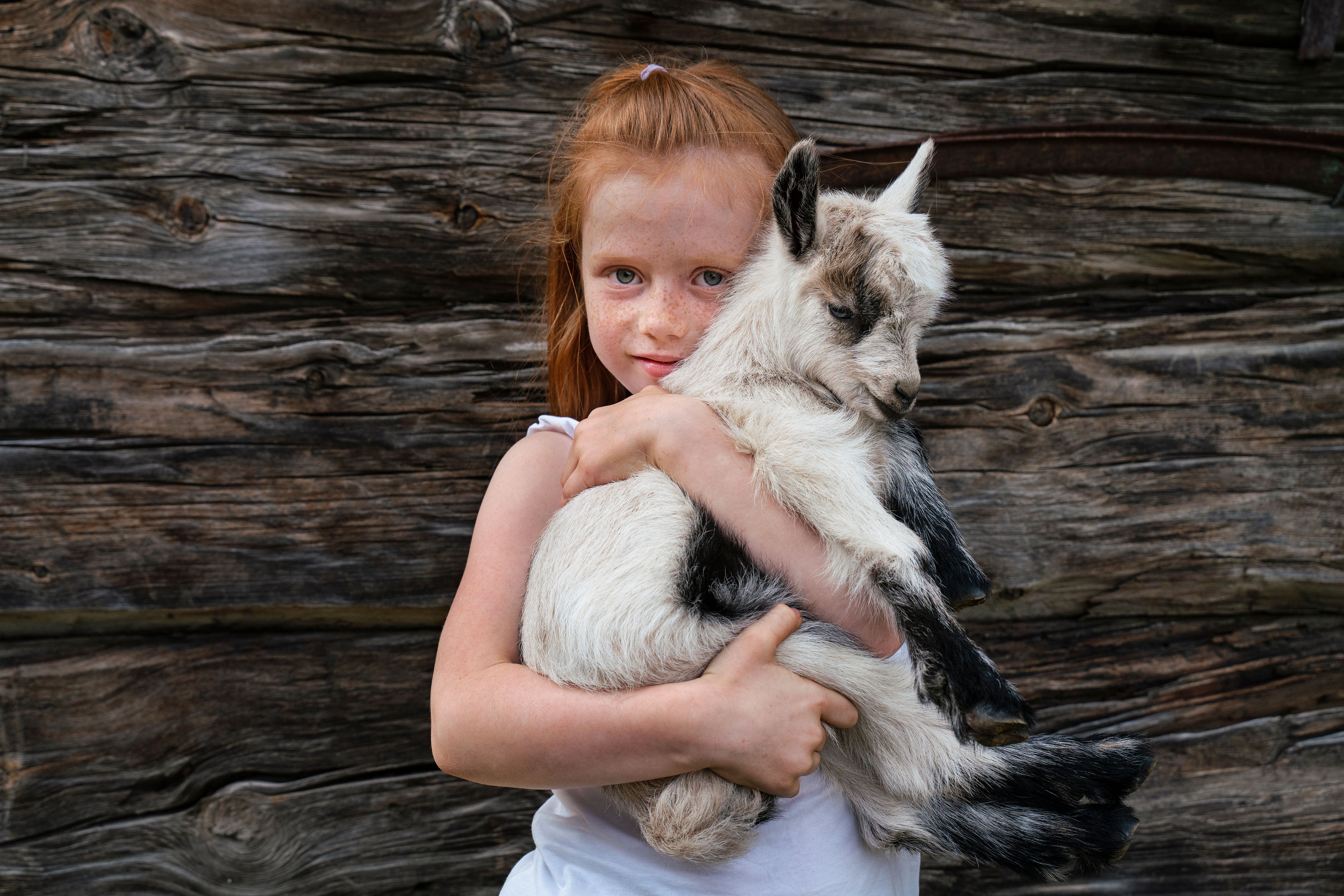 A child holding a lamb at a farm in Norway.
