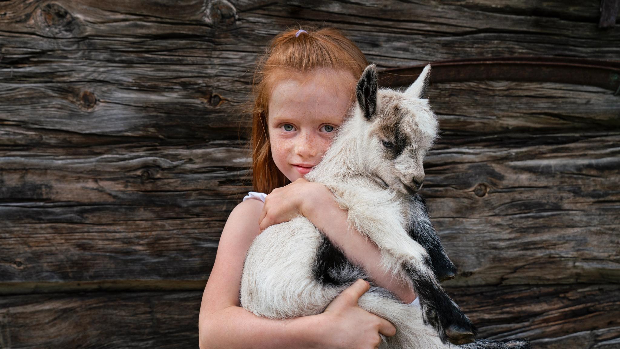 A child holding a lamb at a farm in Norway.