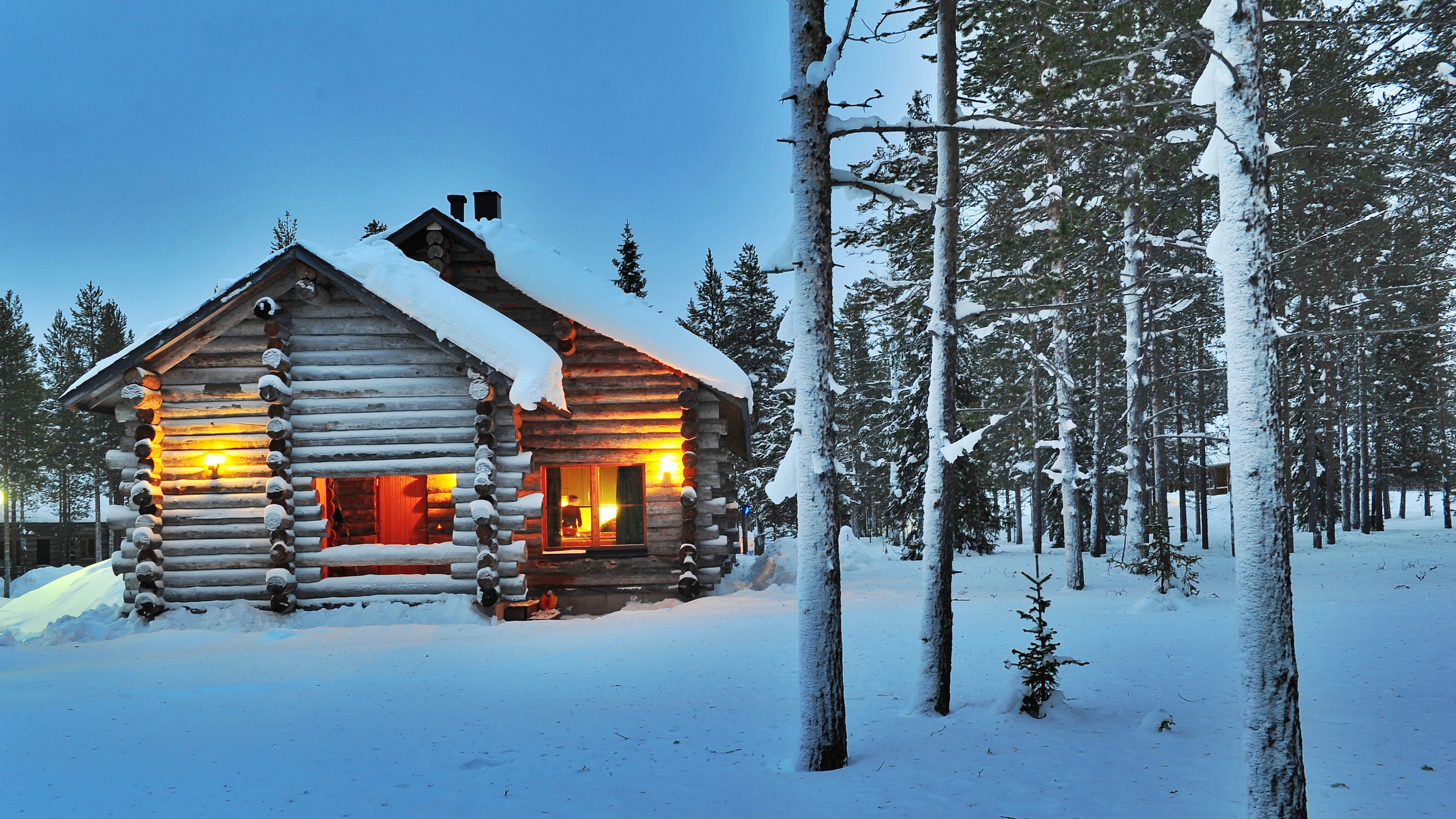 A cabin in the woods in wintertime.