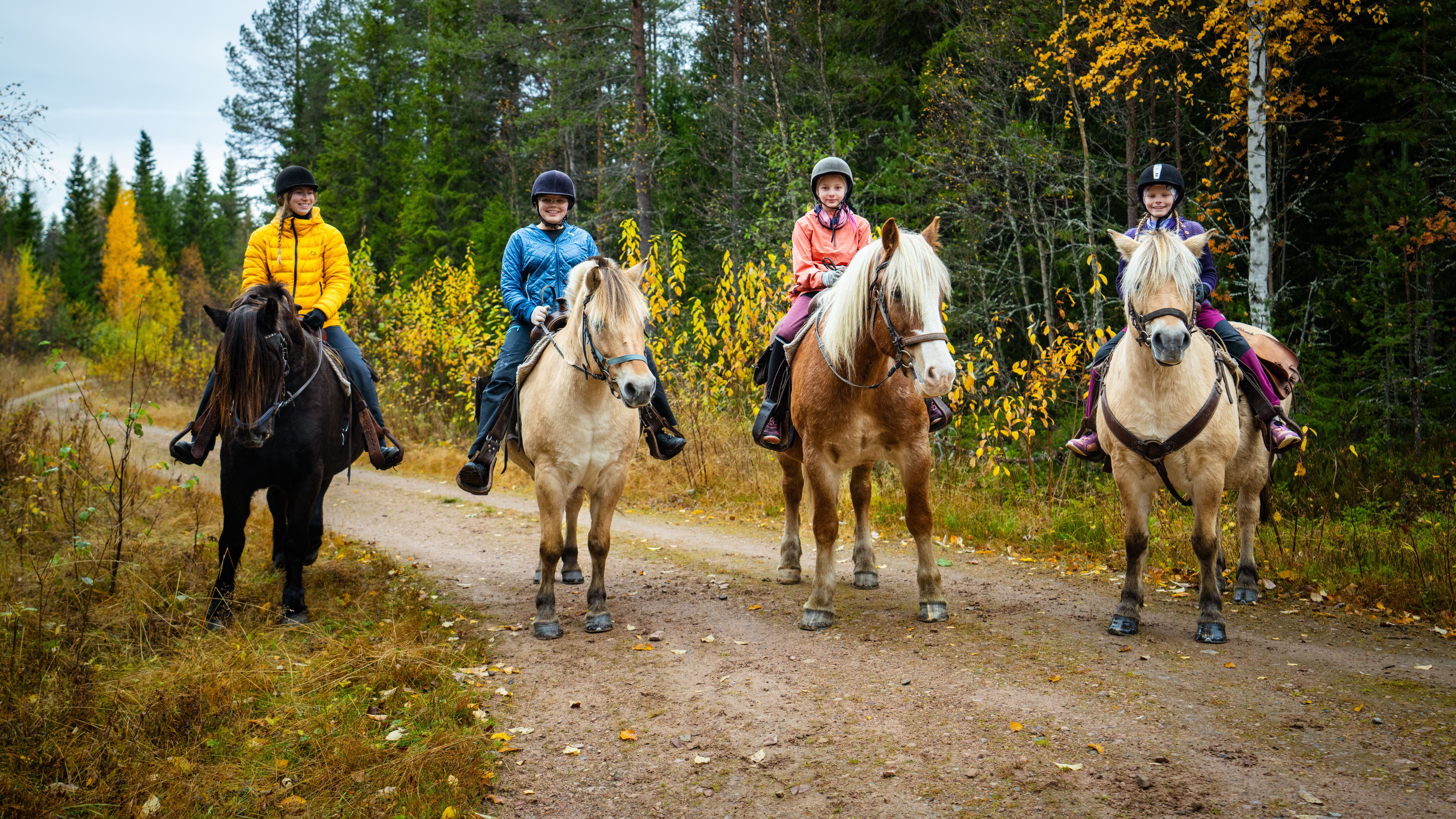 Four people riding horses with Trysil hestesenter.