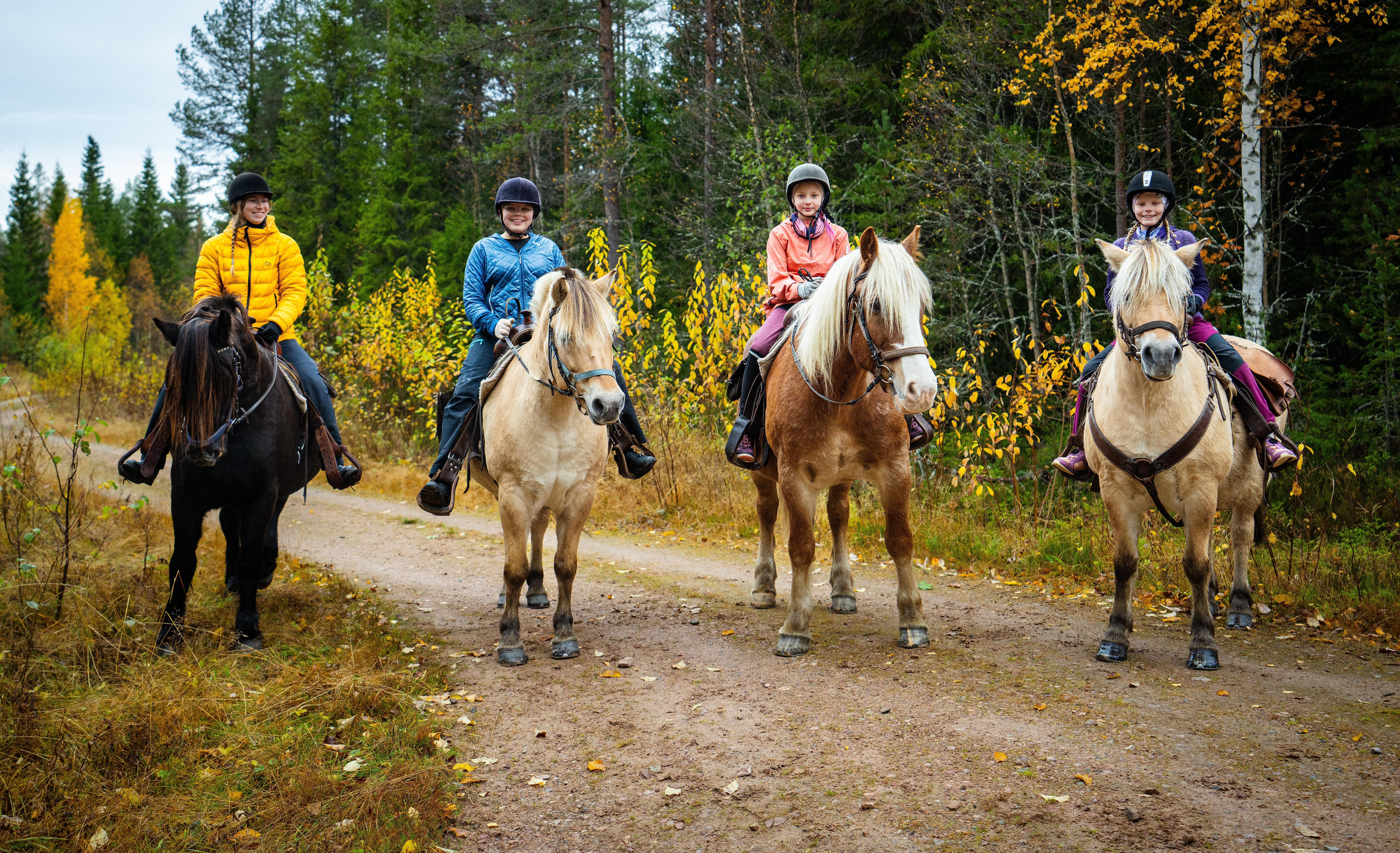 Four people riding horses with Trysil hestesenter.