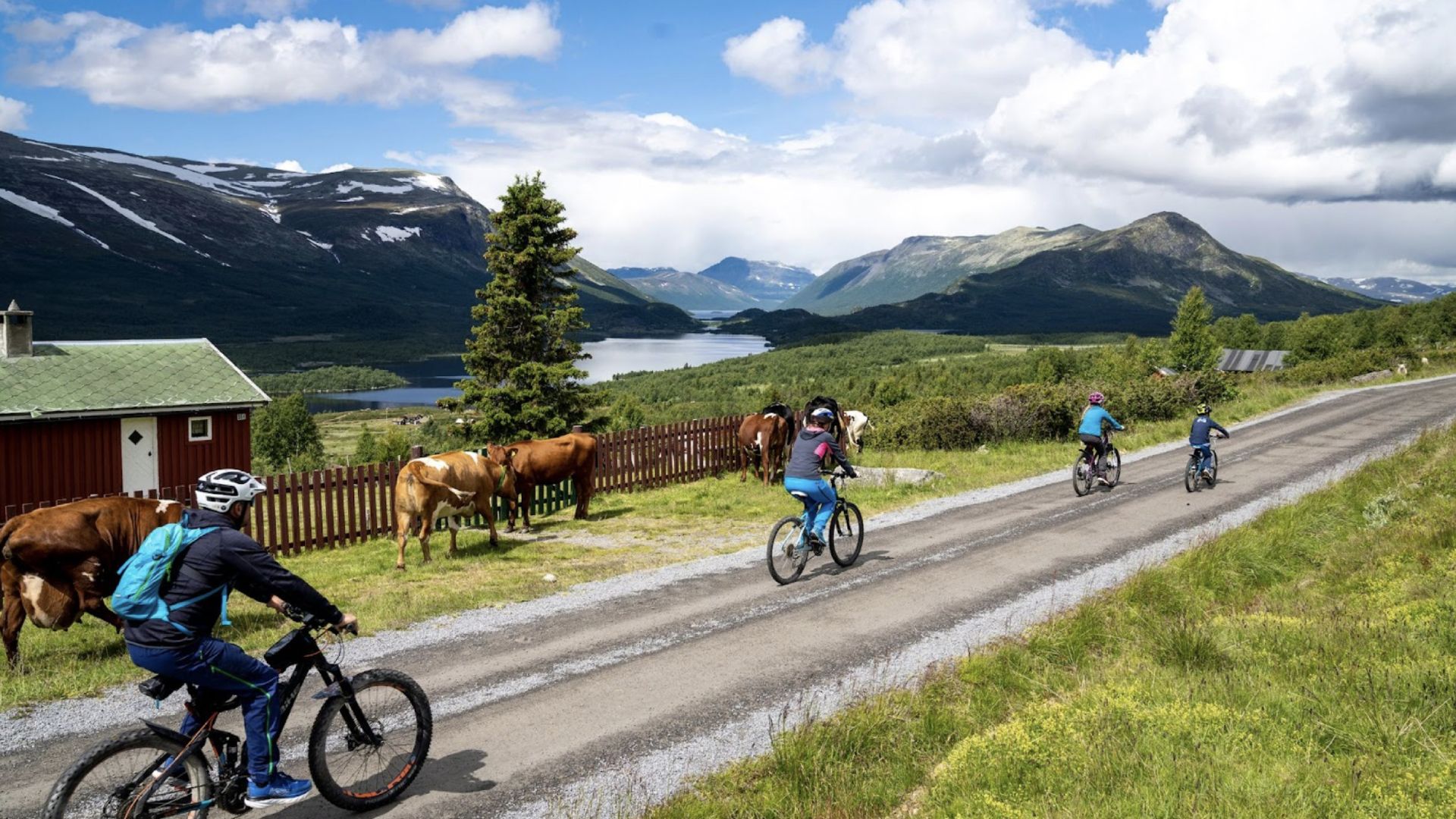 Family biking on Stølsvidda in Valdres