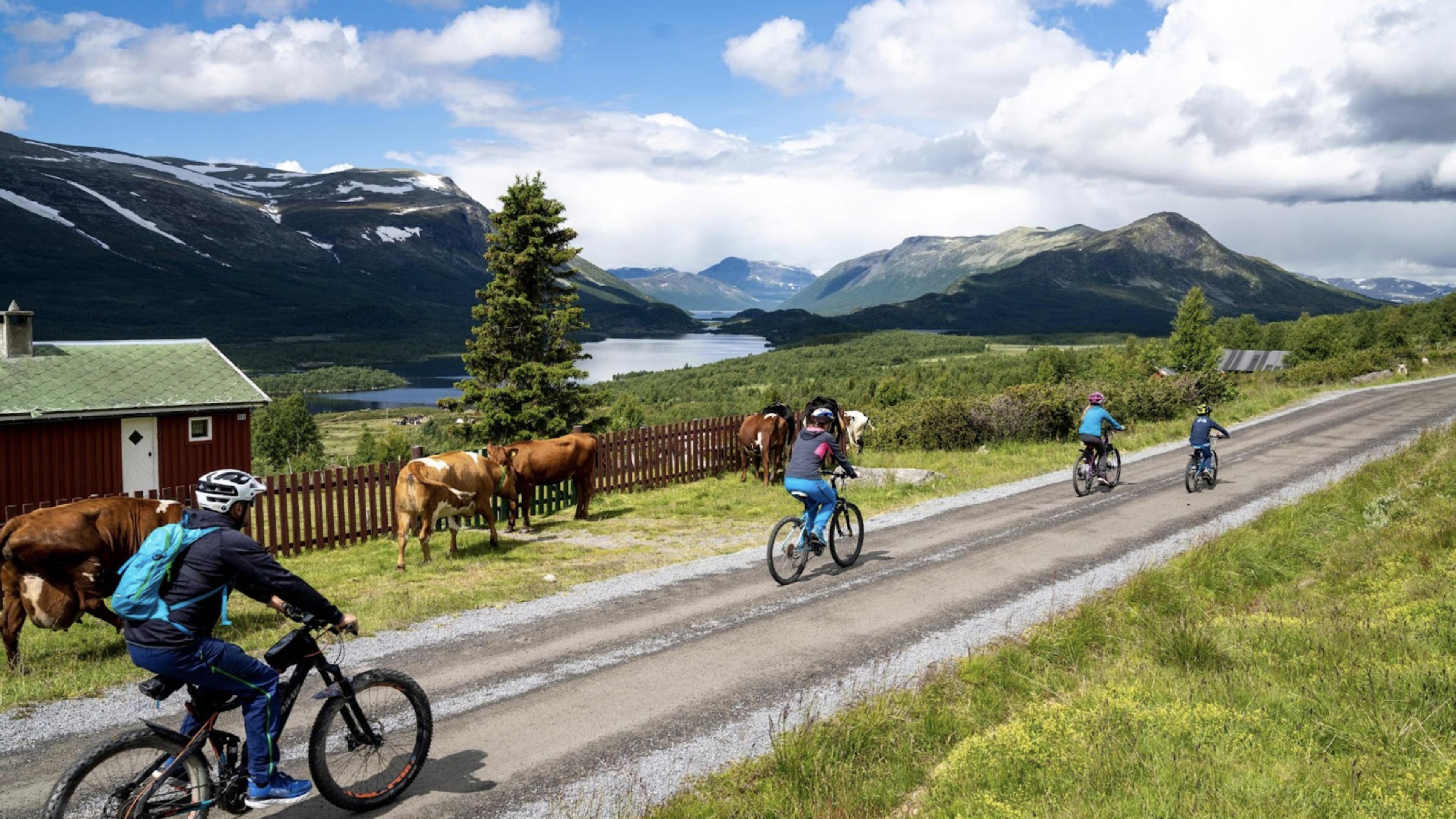 Family biking on Stølsvidda in Valdres