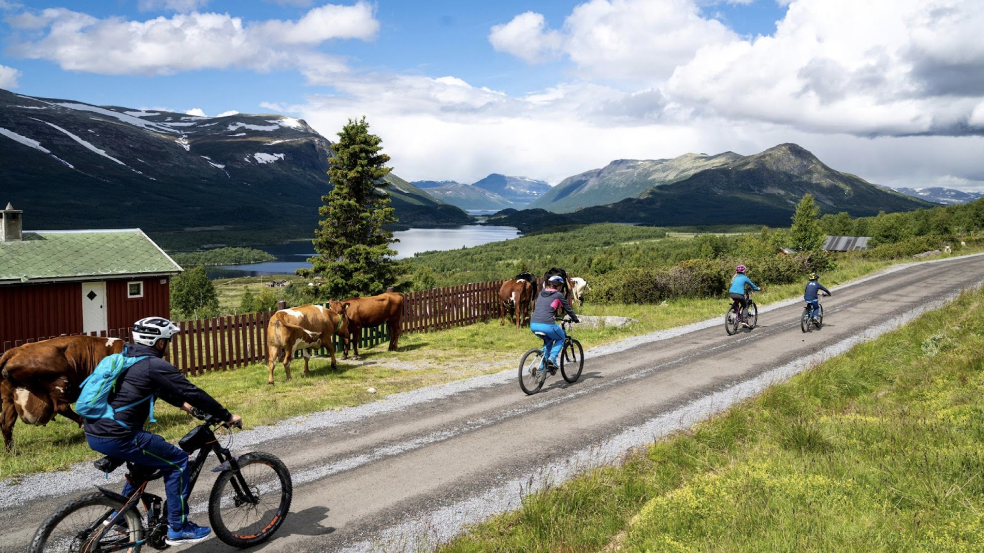Family biking on Stølsvidda in Valdres