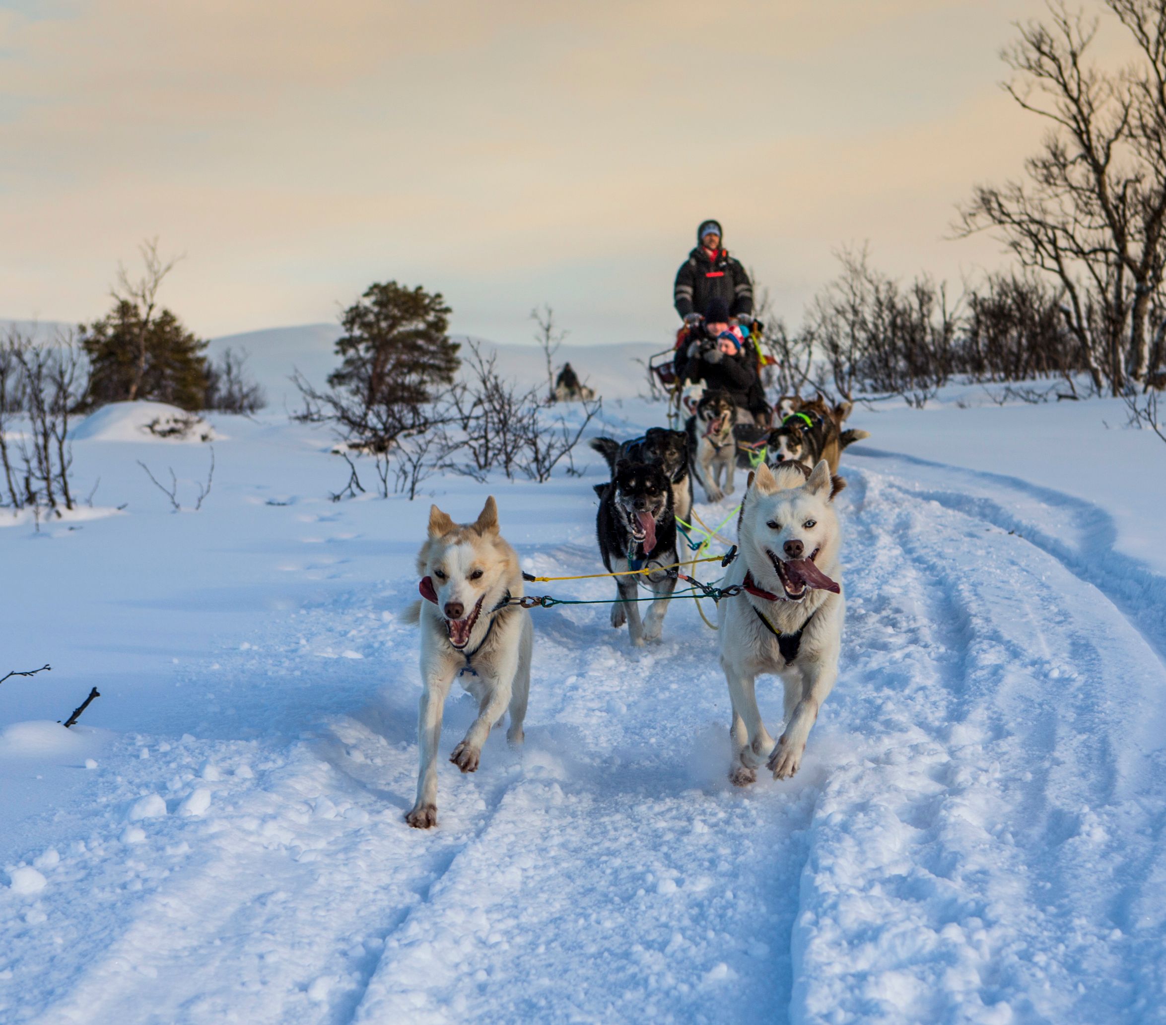 Stephen Hermida/Hurtigruten