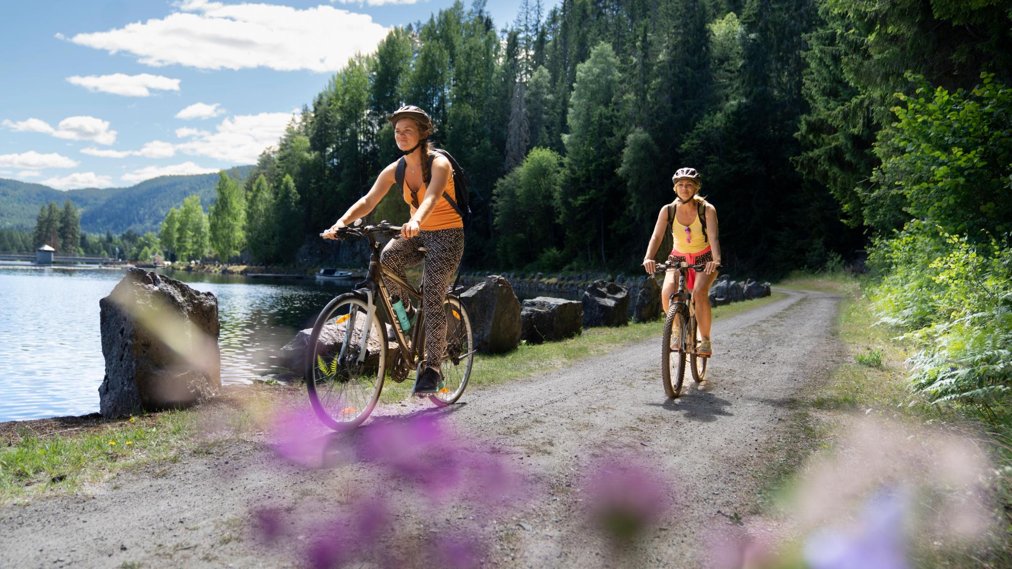 Cycling along the Telemark canal