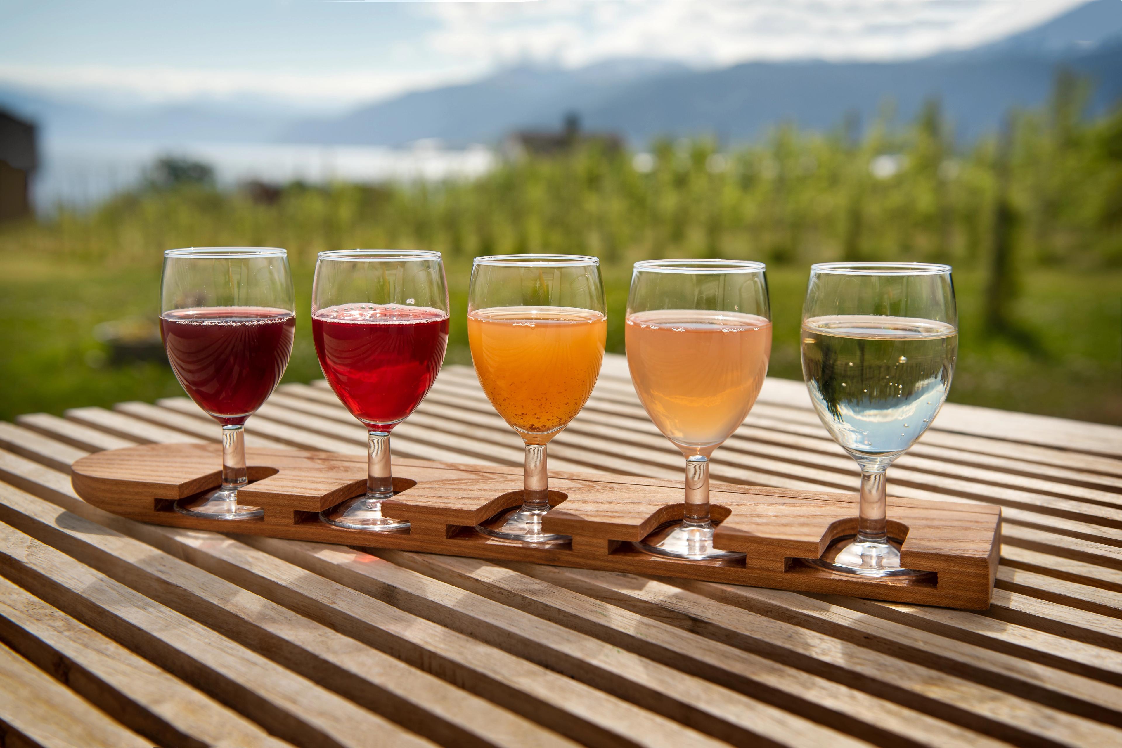 Five glasses of cider in different colours at Ciderhuset Balholm in Sognefjord, Fjord Norway
