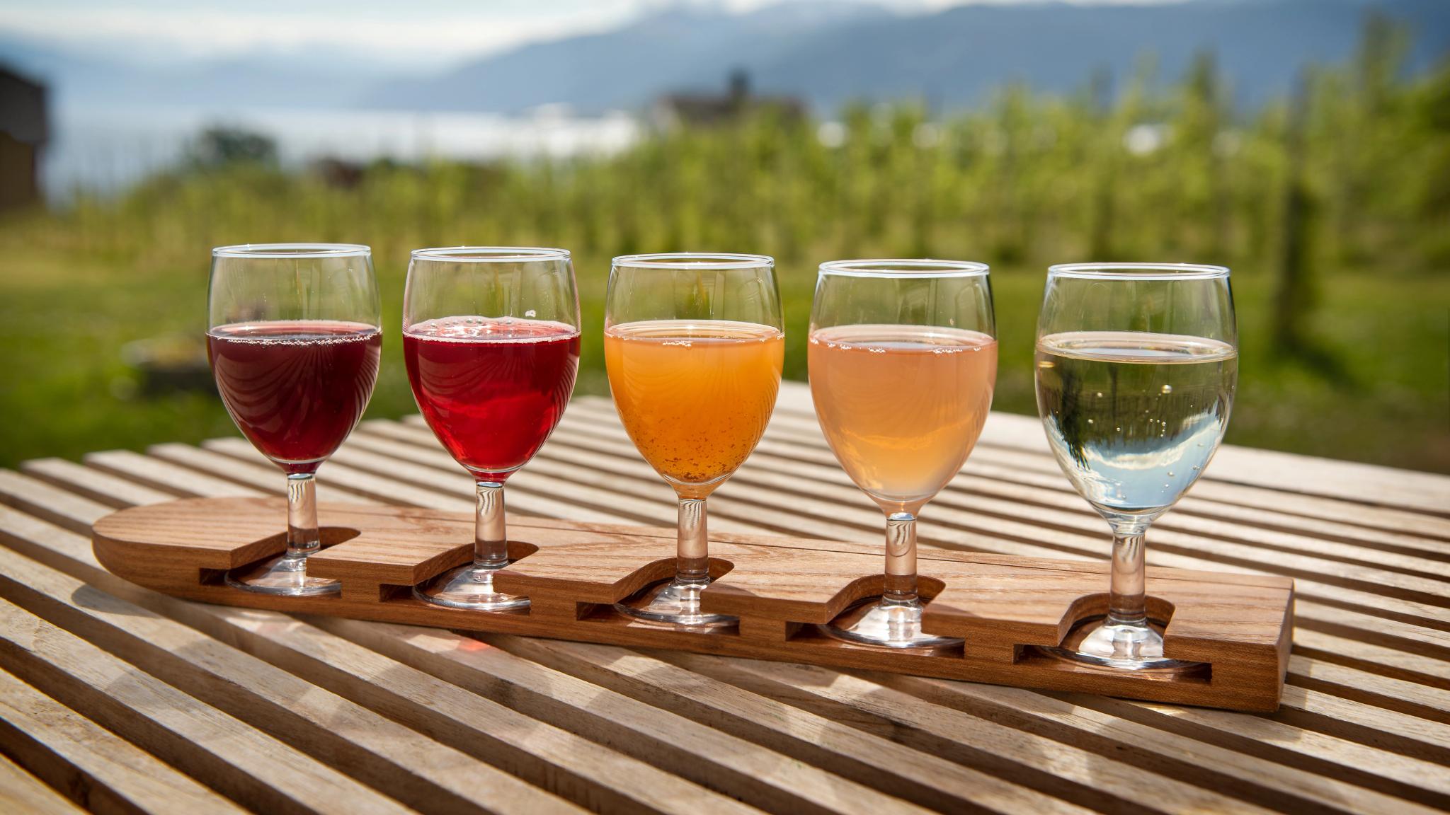 Five glasses of cider in different colours at Ciderhuset Balholm in Sognefjord, Fjord Norway