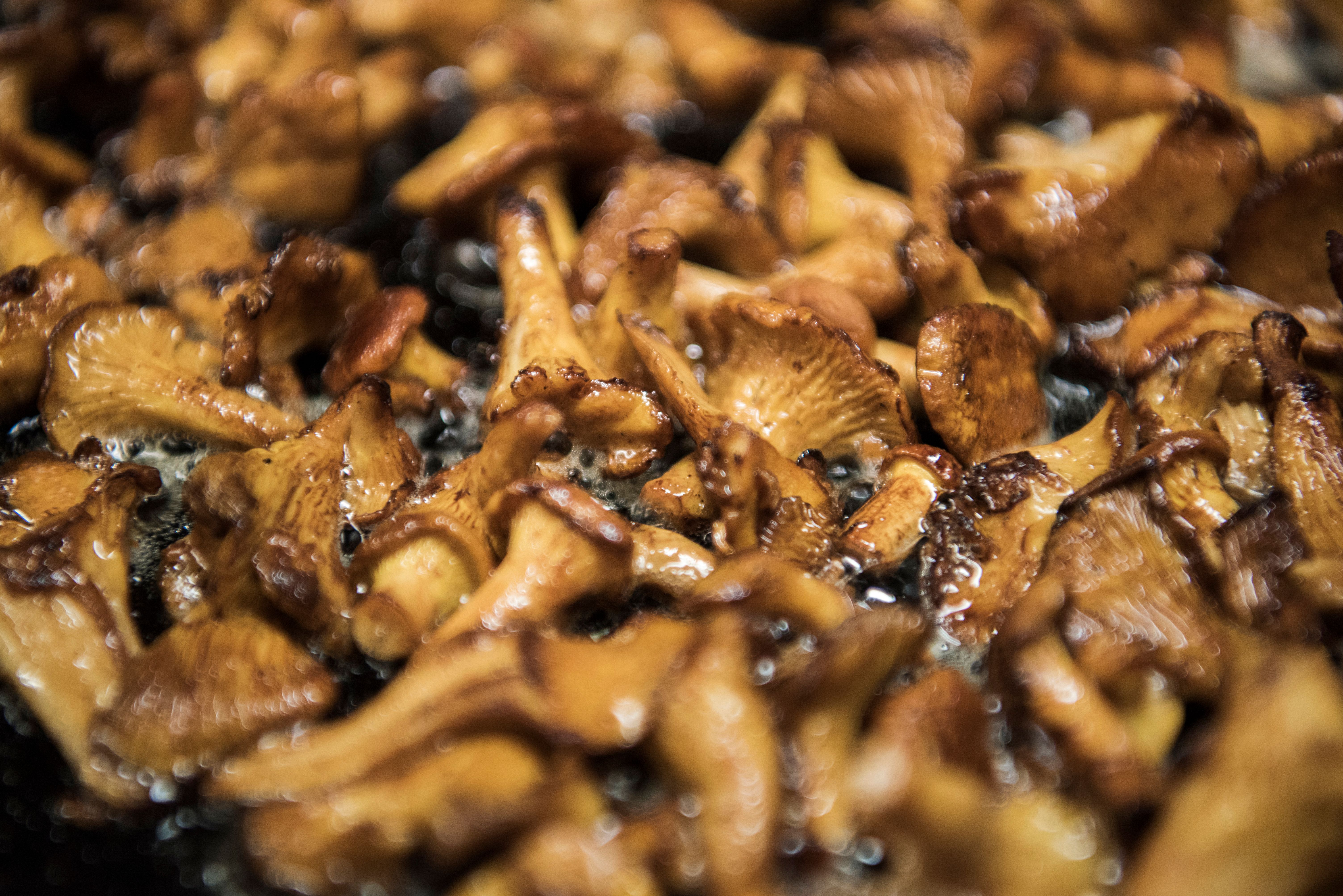 Chanterelles