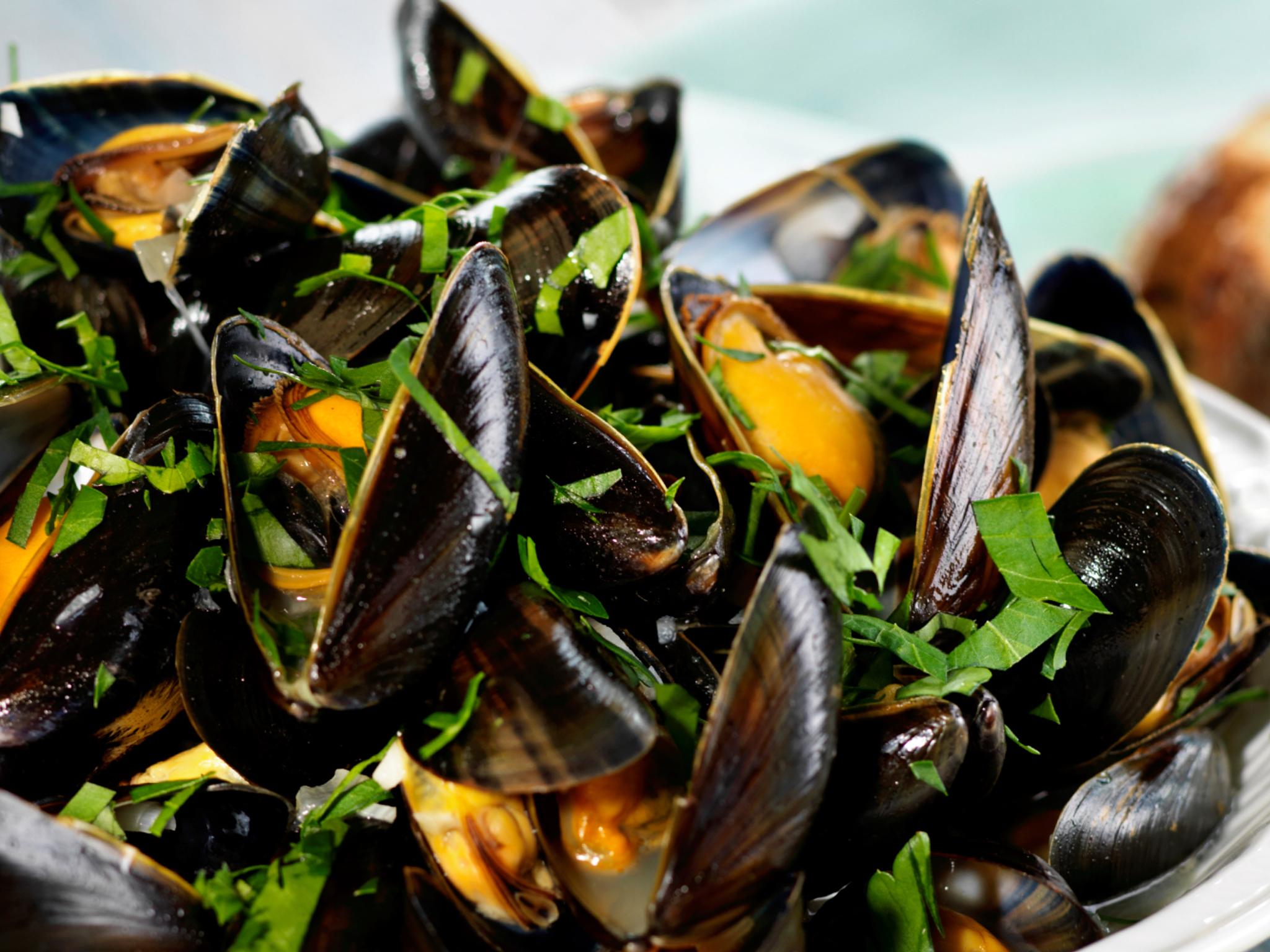 Mussels steamed with white wine