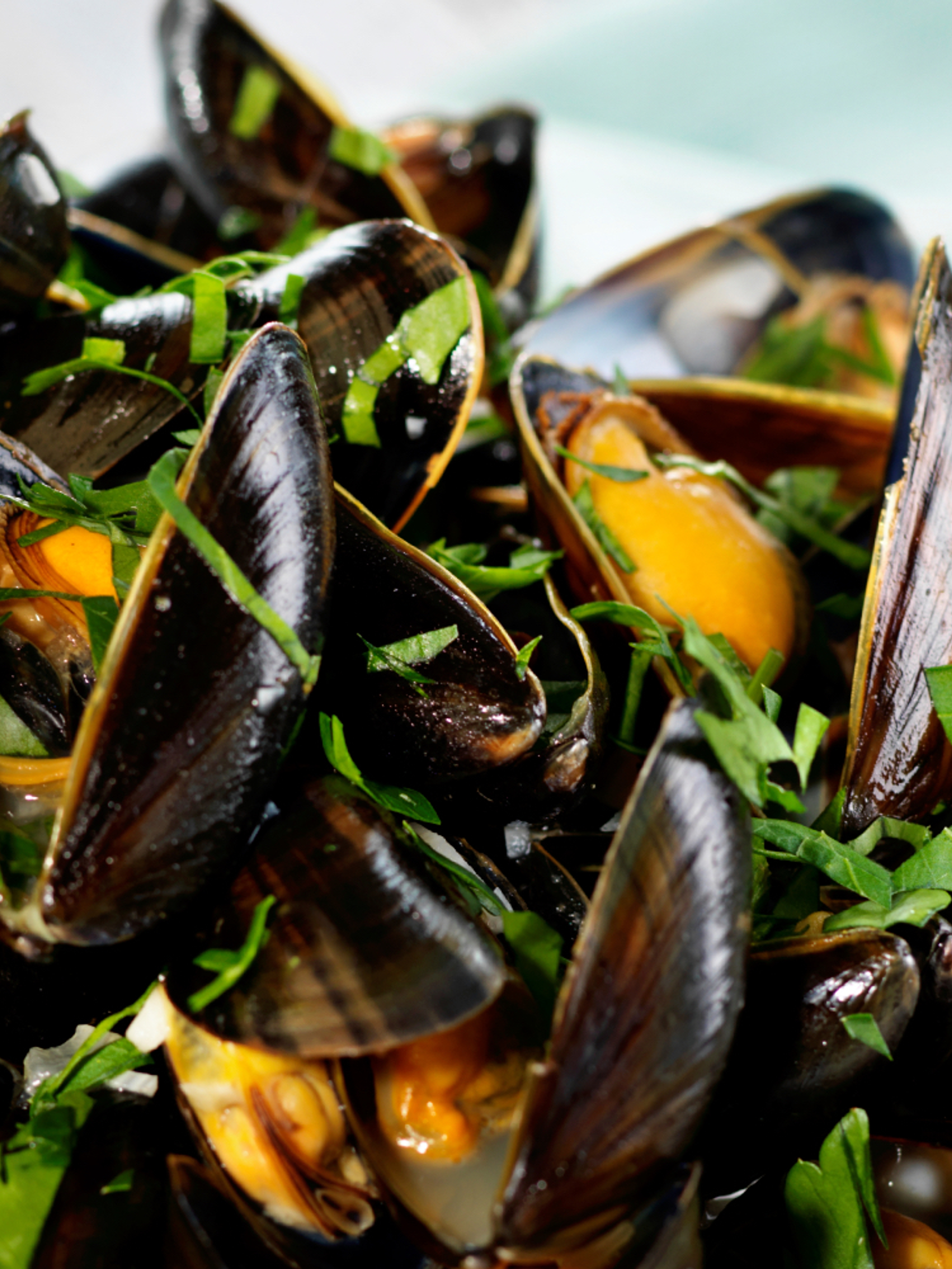 Mussels steamed with white wine