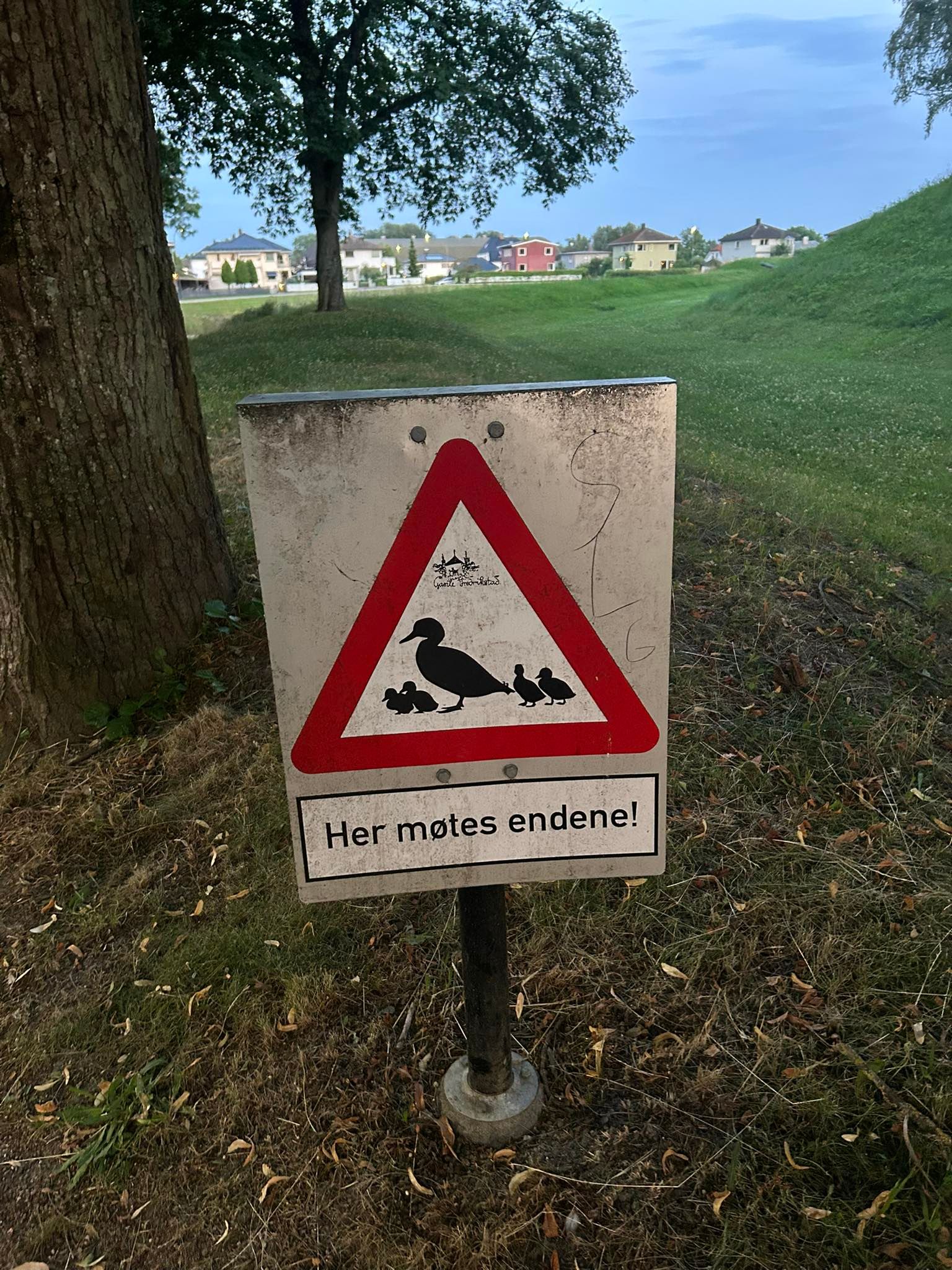 Duck sign in the old town of Fredrikstad