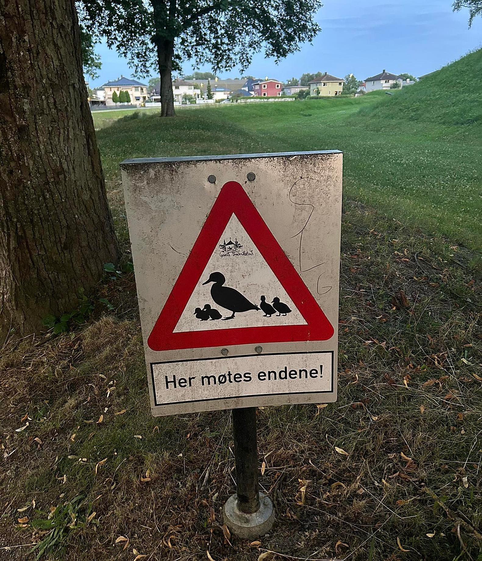 Duck sign in the old town of Fredrikstad