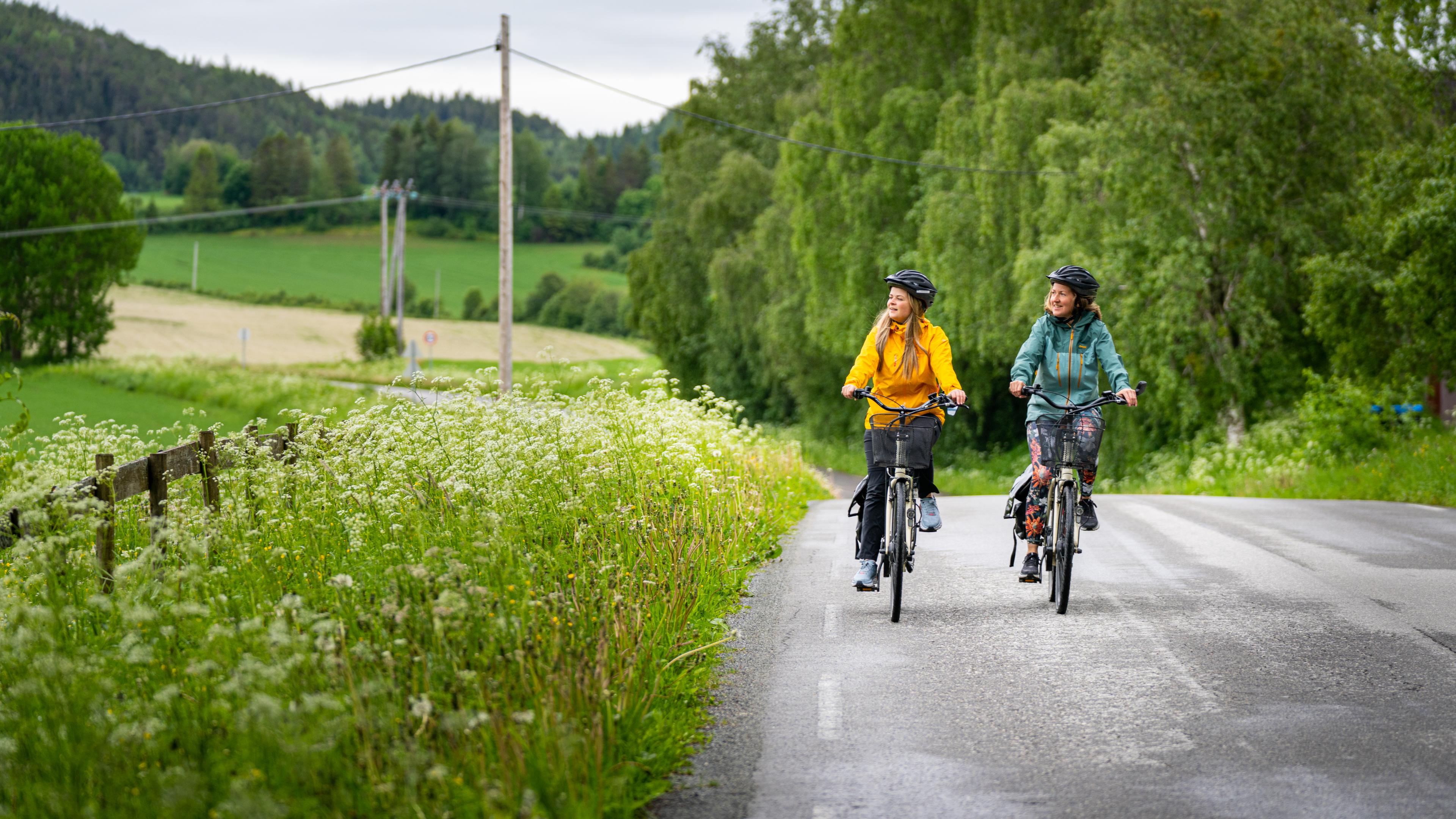 Two woman cycling among flower fields at The Golden Road in Inderøy