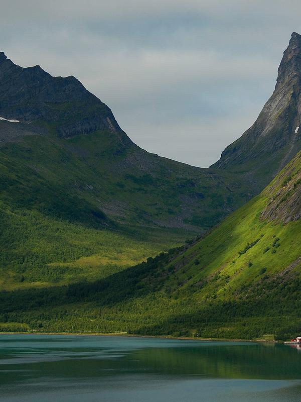 Bratte fjell i Senja som stiger opp fra sjøen