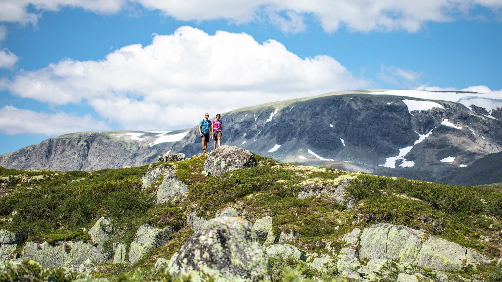 Two people hiking at Hallingskarvet