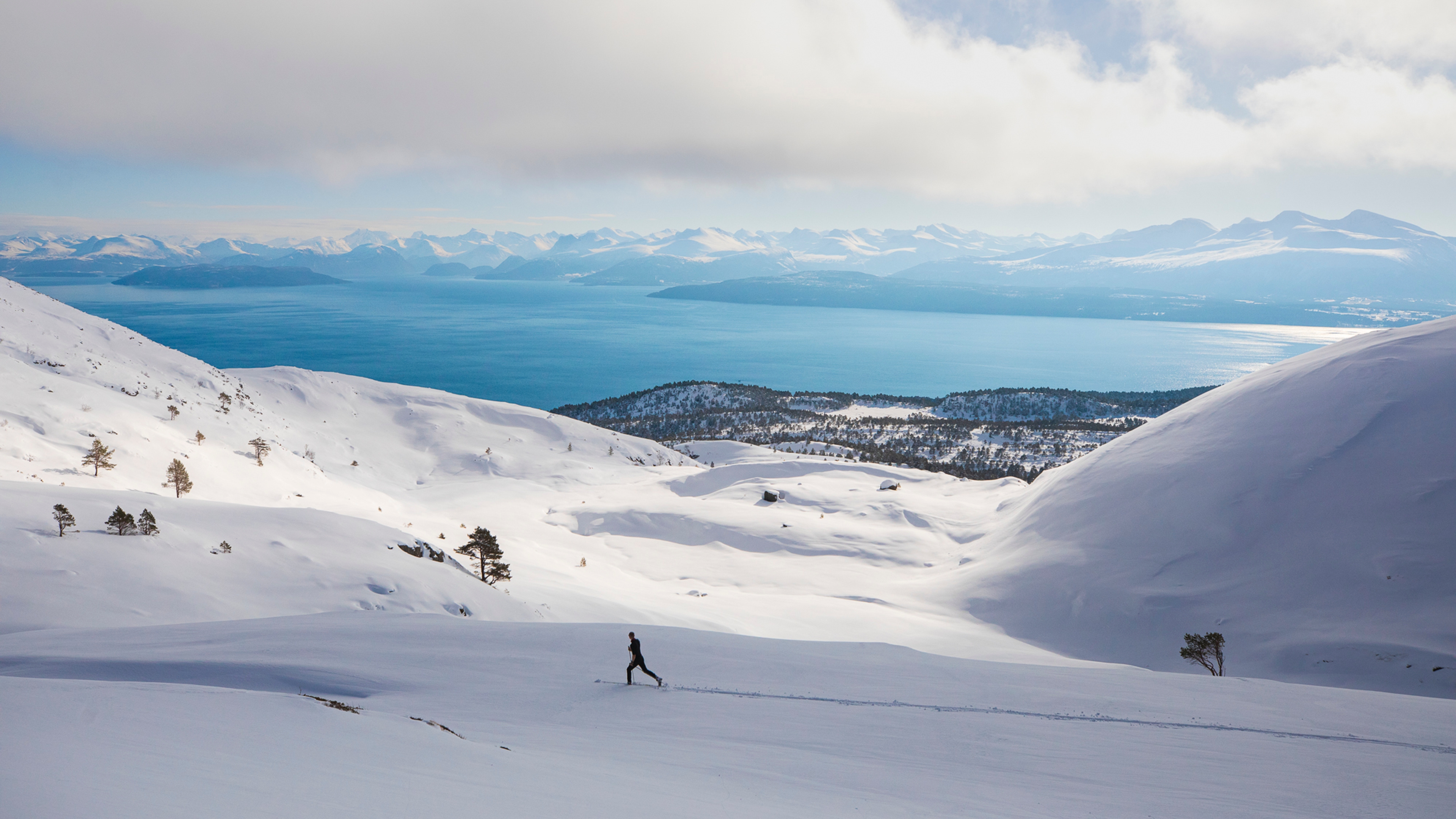 Crosscountry skiing in Moldemarka, in wintertime