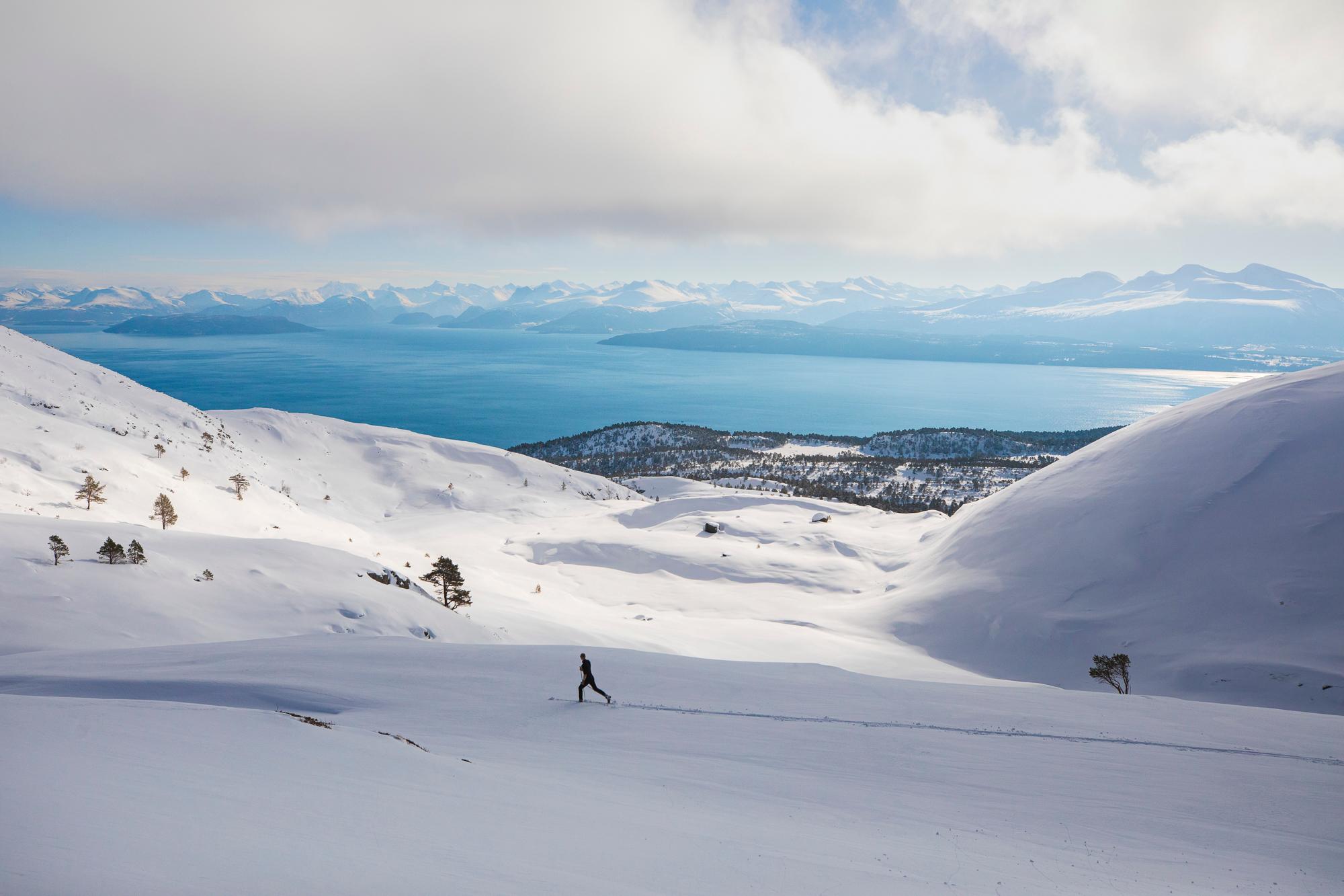Crosscountry skiing in Moldemarka, in wintertime