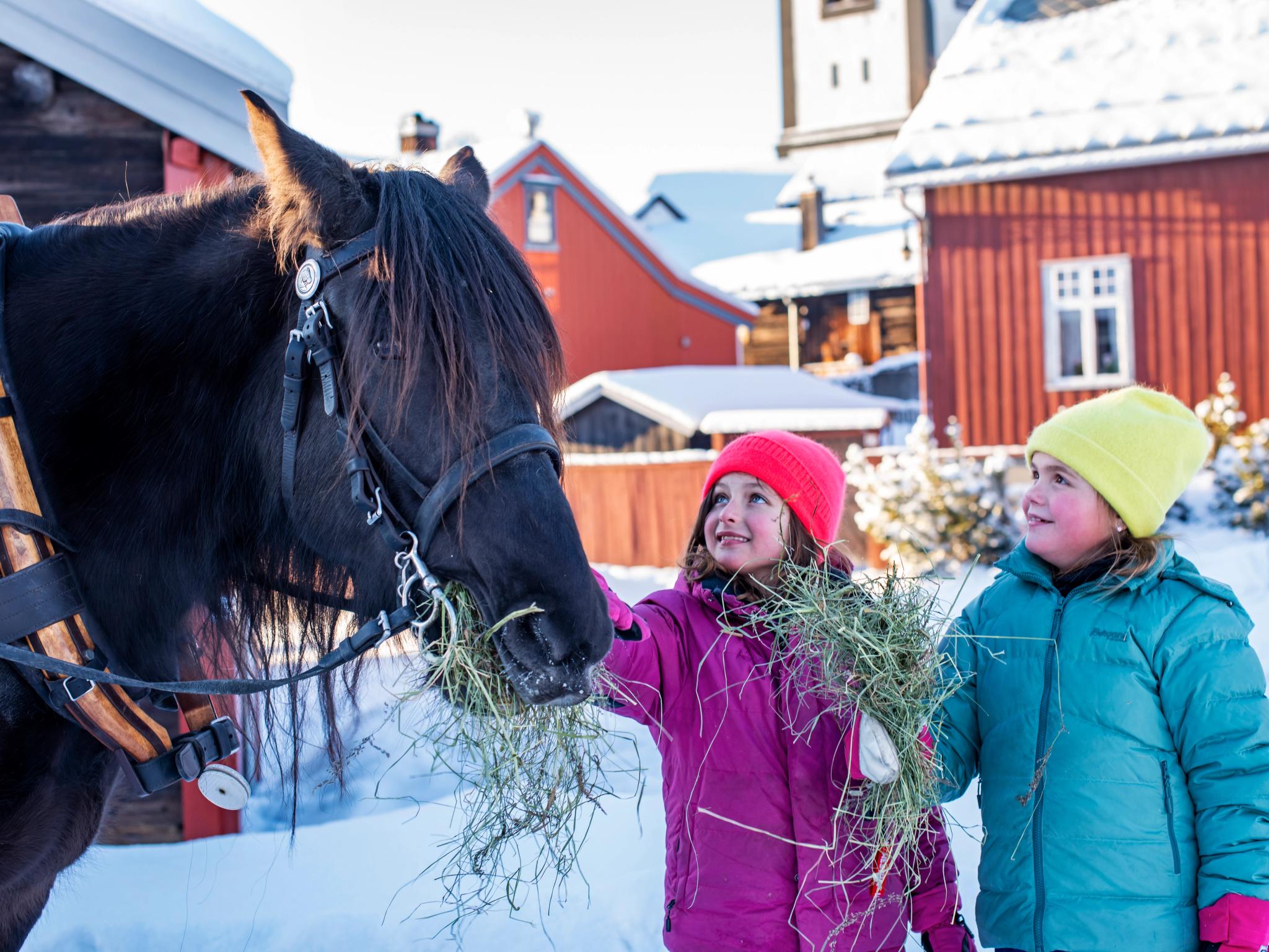 Kids petting a horse in Røros
